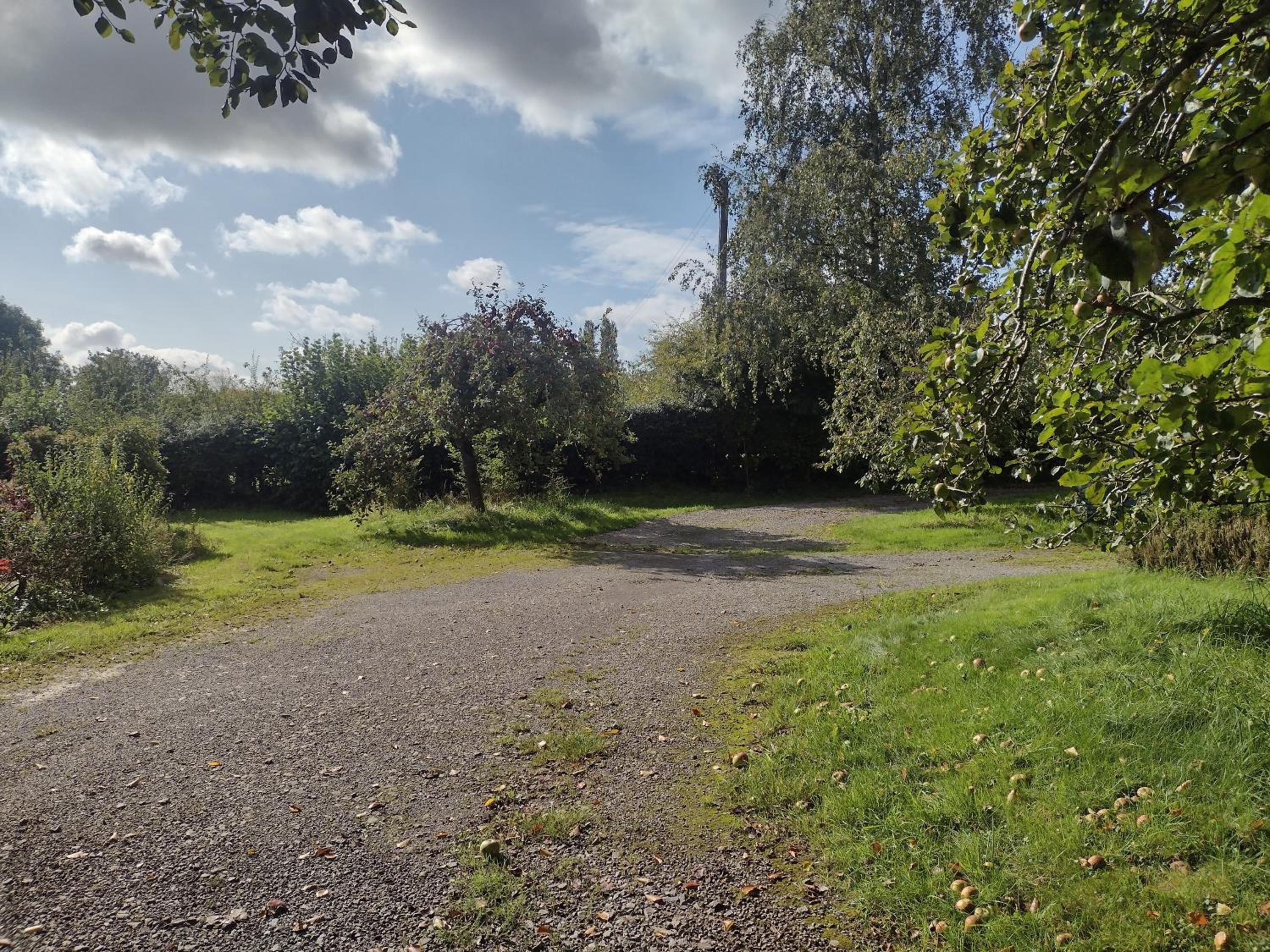 Townsend Orchard
