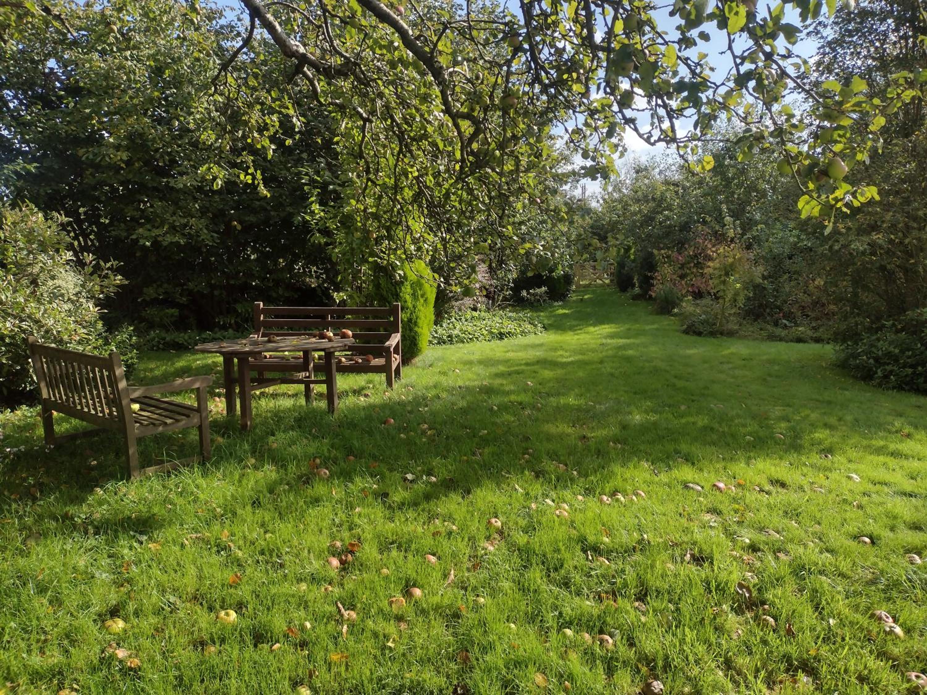 Townsend Orchard
