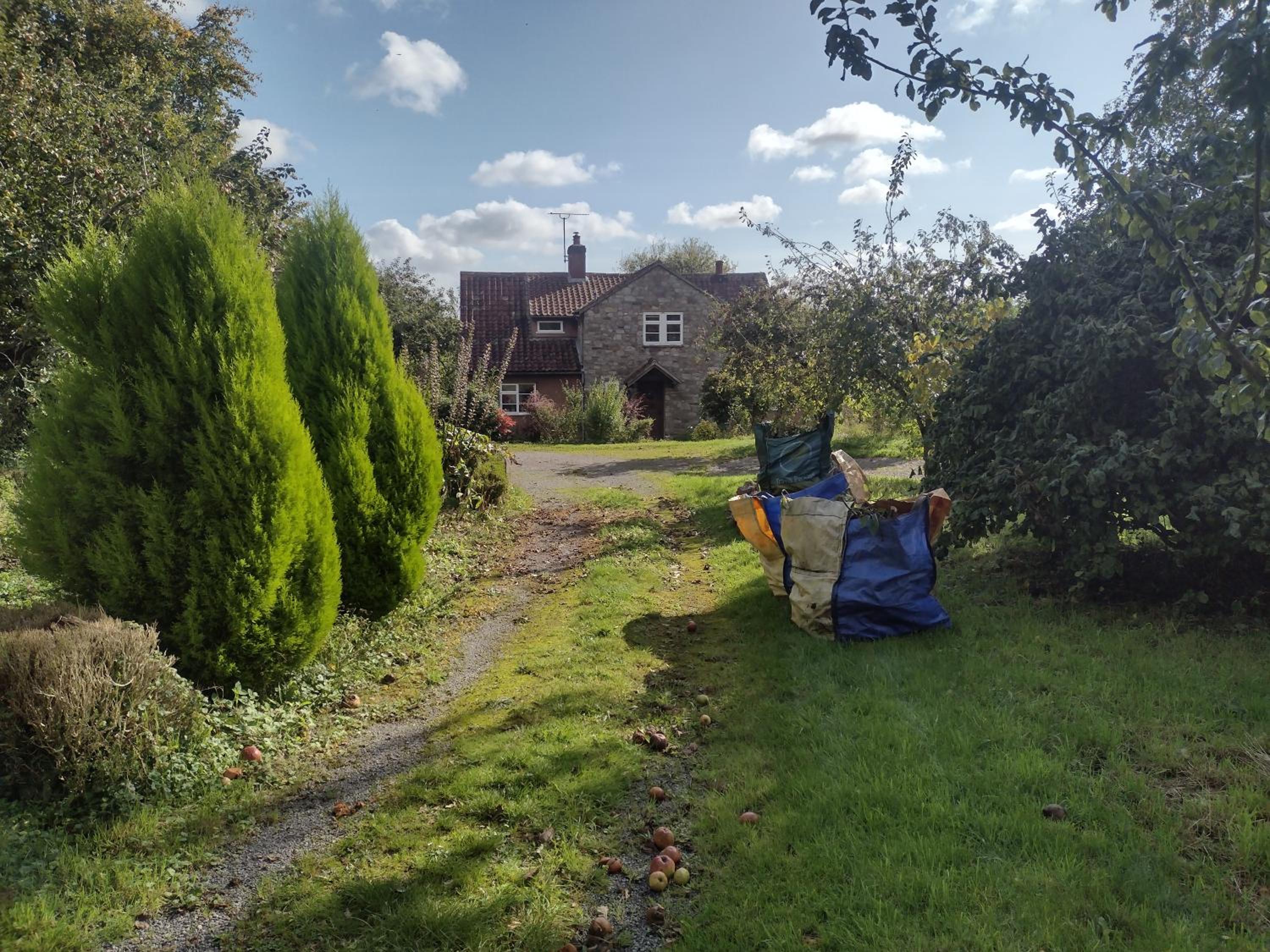 Townsend Orchard