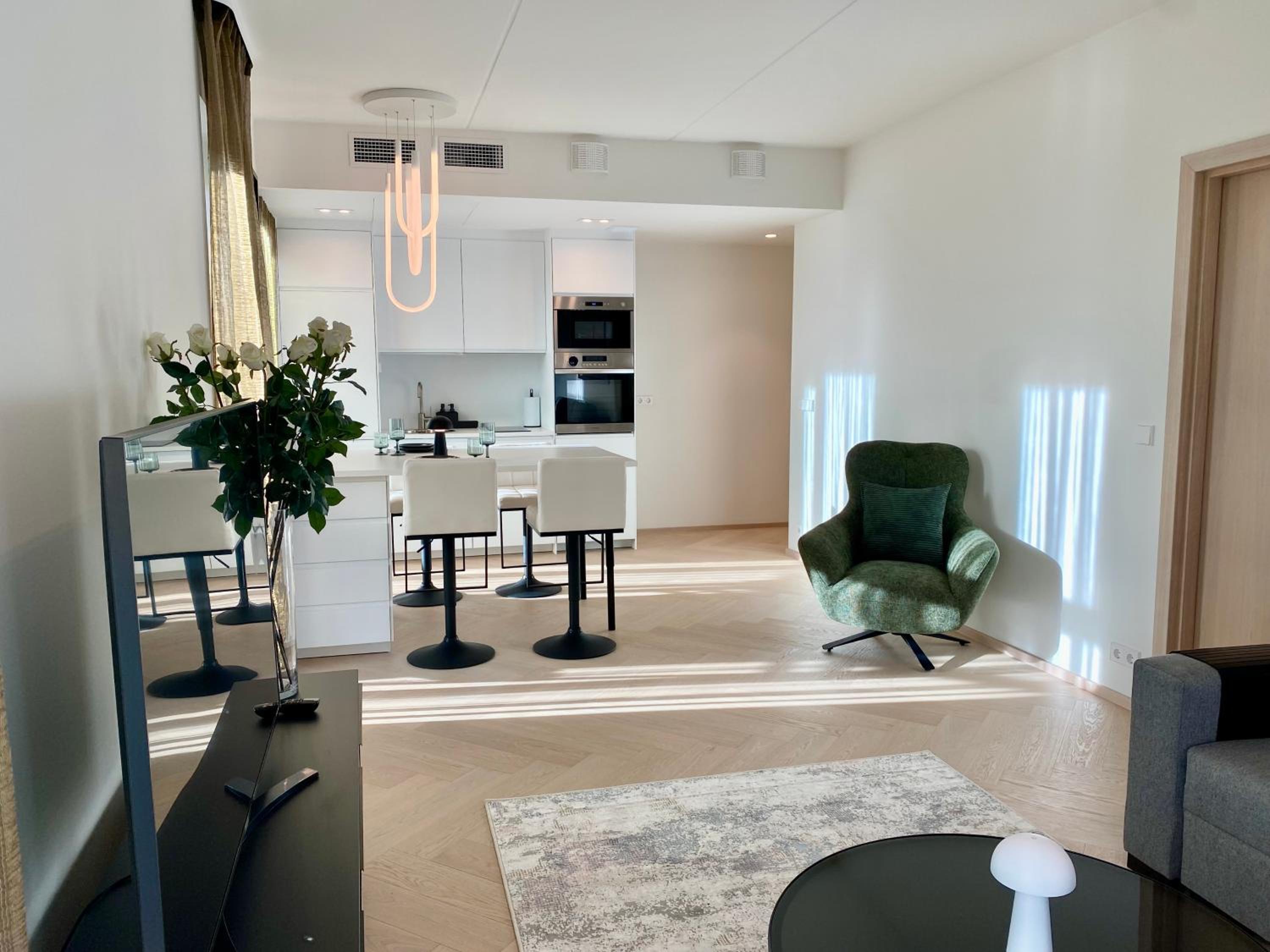 Vektor Premium Apartment with Rooftop Garden & Free Parking