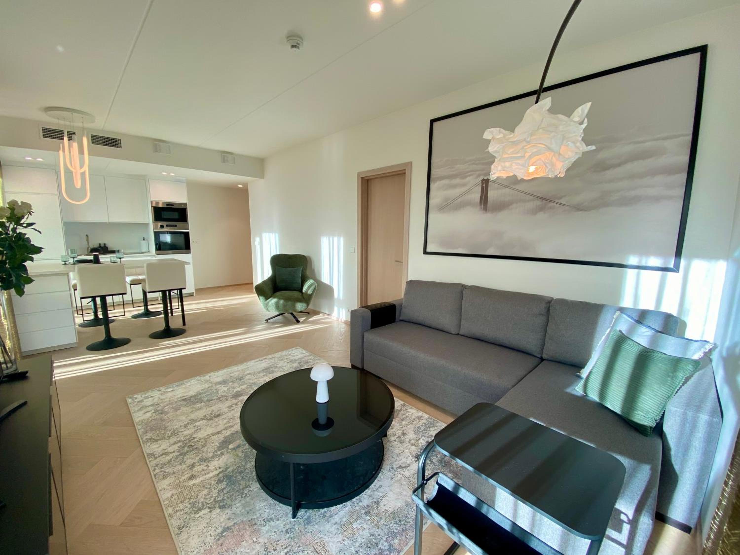 Vektor Premium Apartment with Rooftop Garden & Free Parking