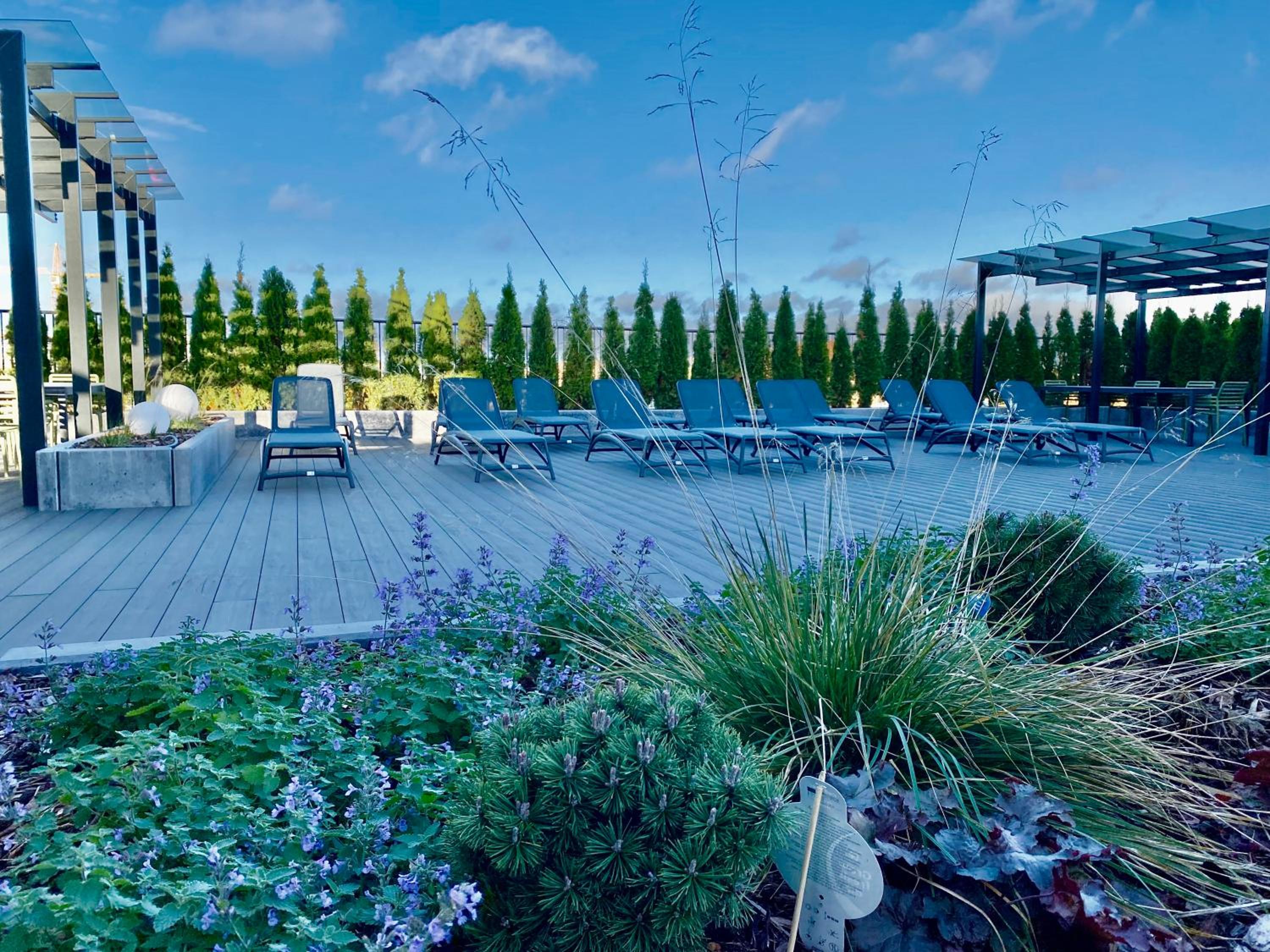 Vektor Premium Apartment with Rooftop Garden & Free Parking