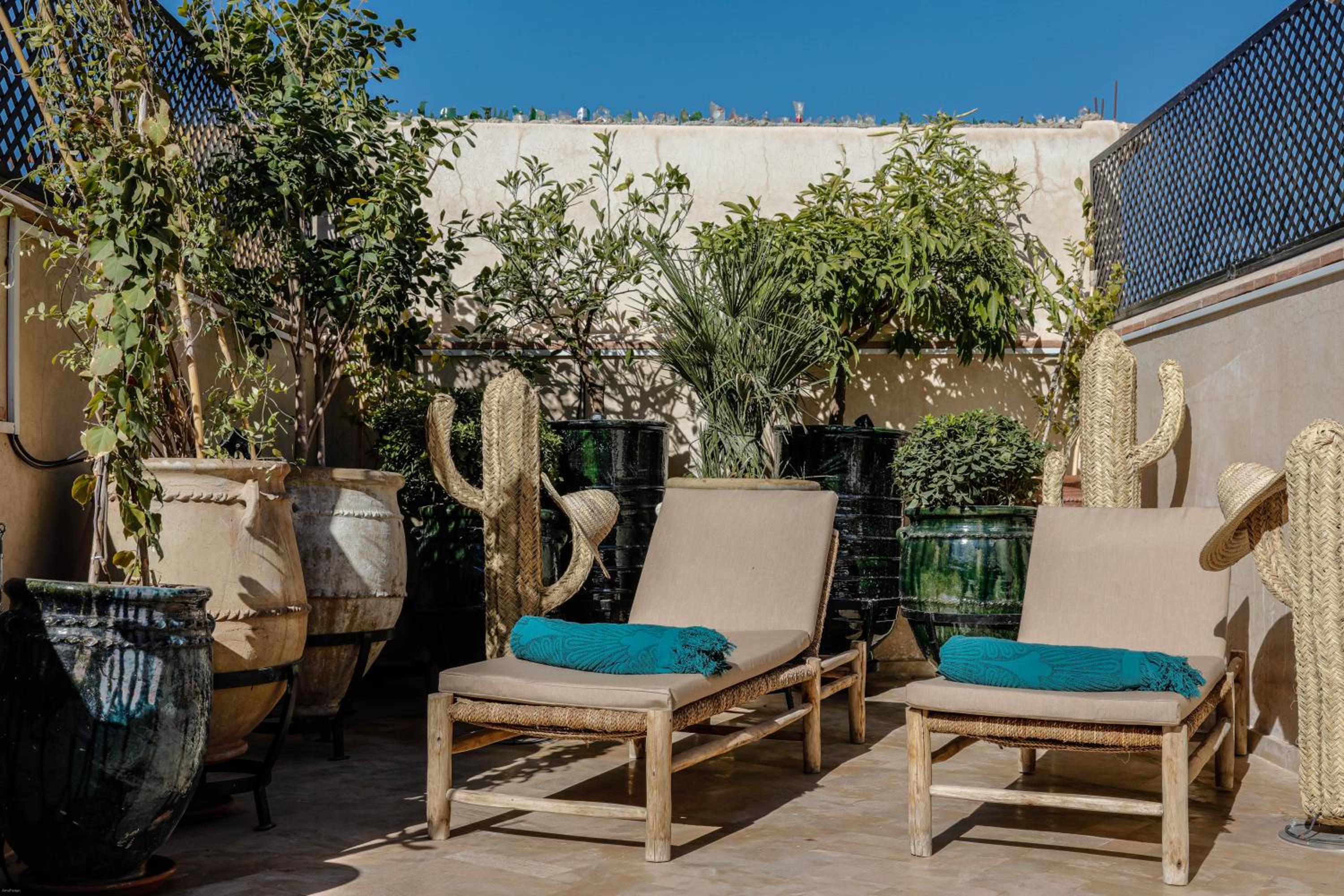 balance & terrace