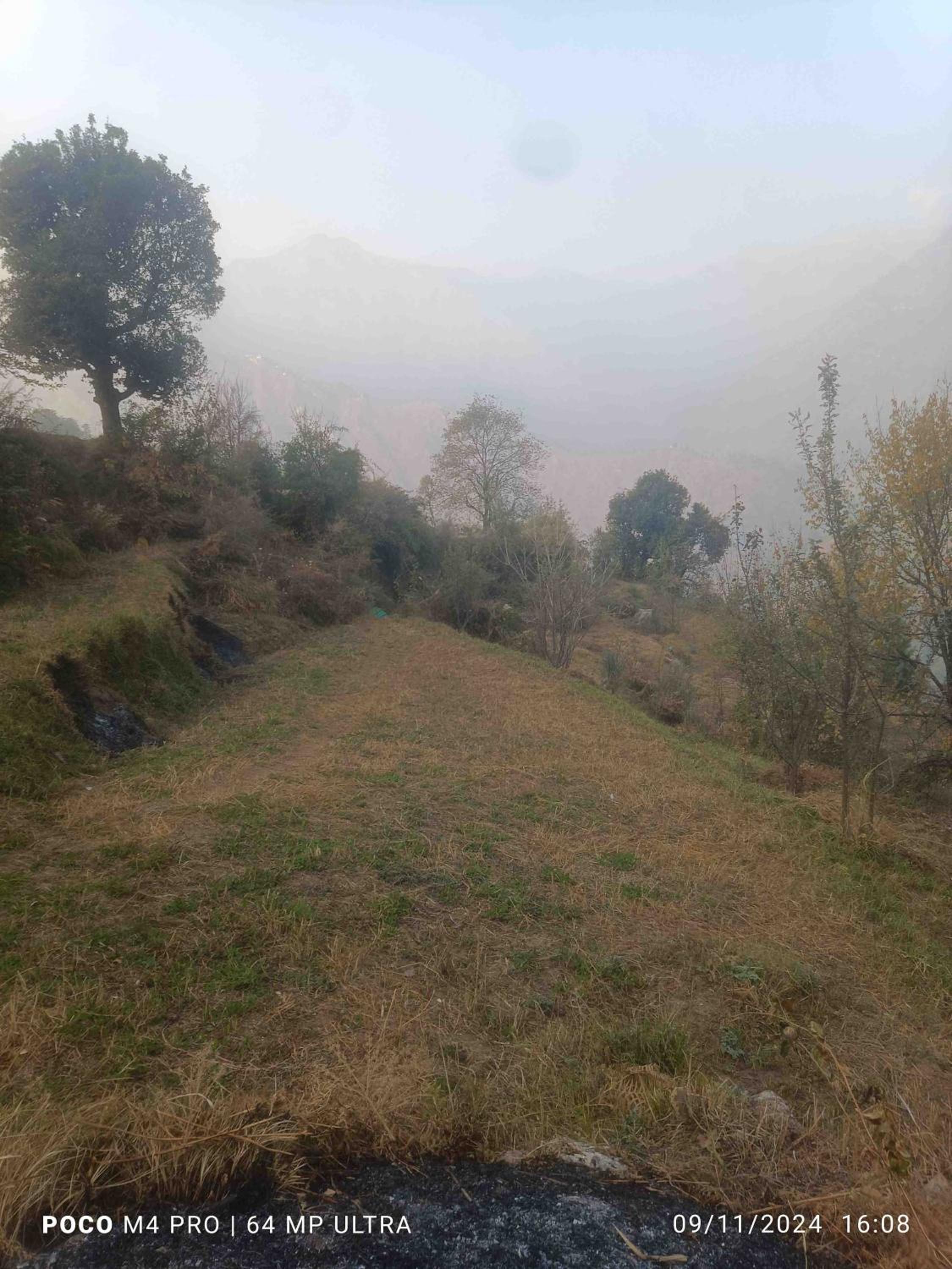 great himalayan hikes homestay shanghar