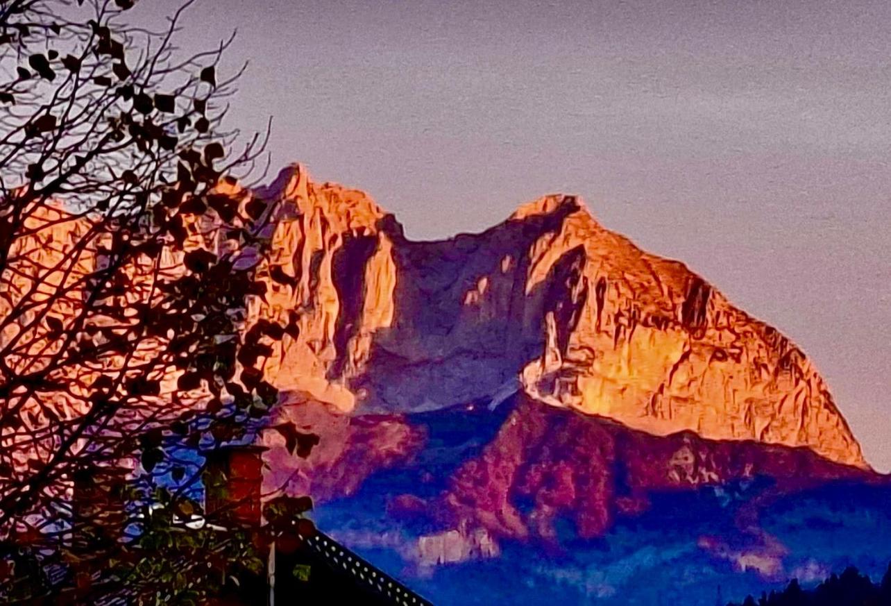 Berg Blick Chalet