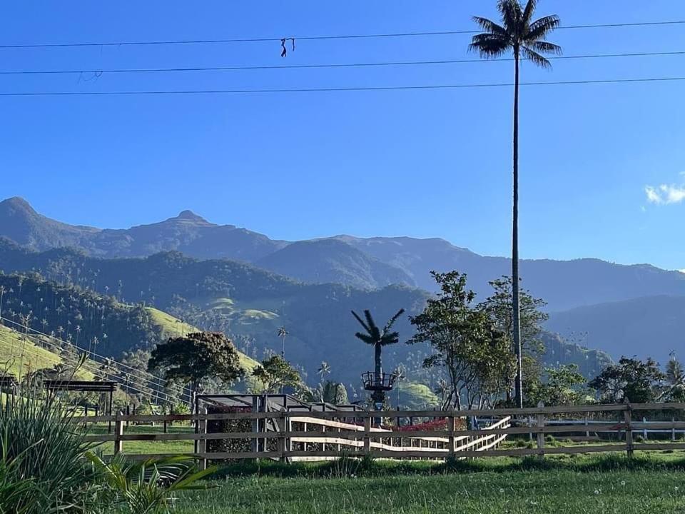 Cabaña Valle del Cocora
