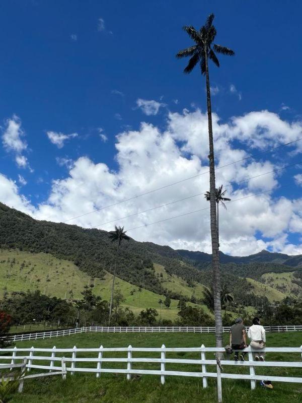 Cabaña Valle del Cocora