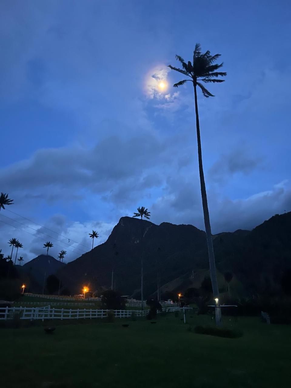 Cabaña Valle del Cocora