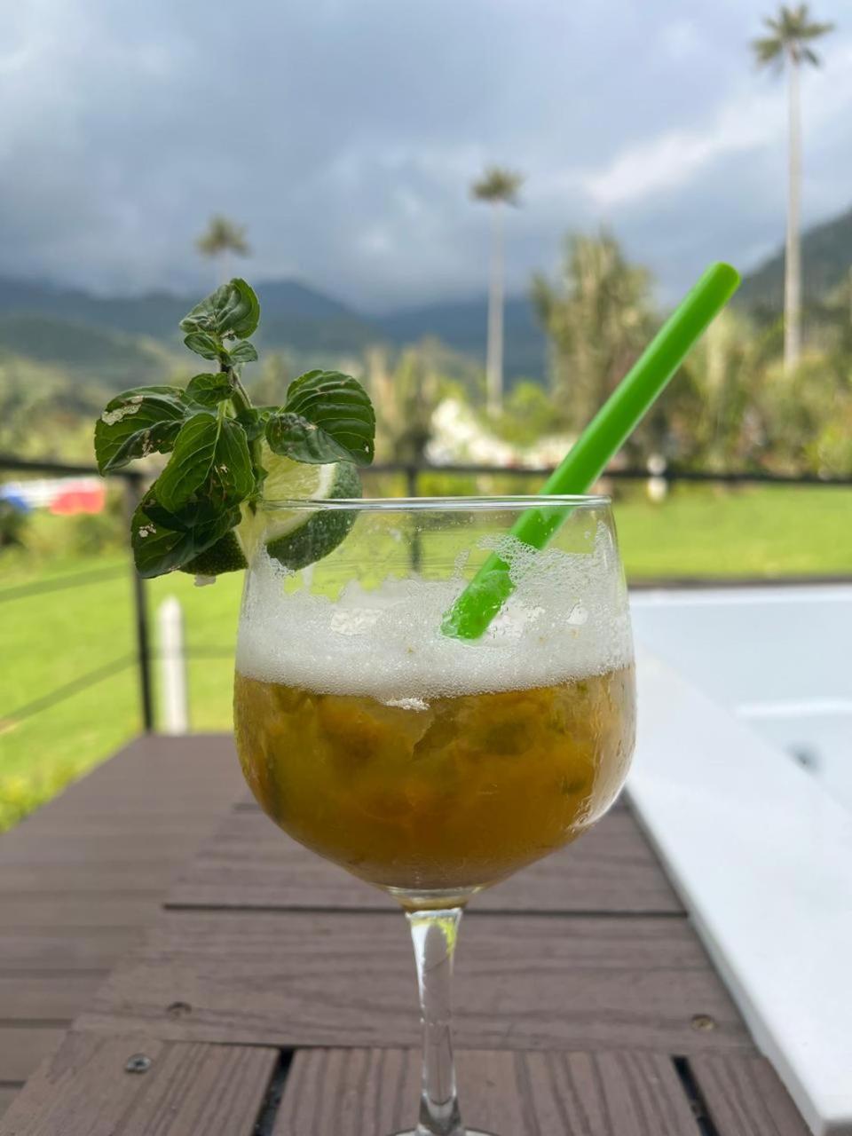 Cabaña Valle del Cocora