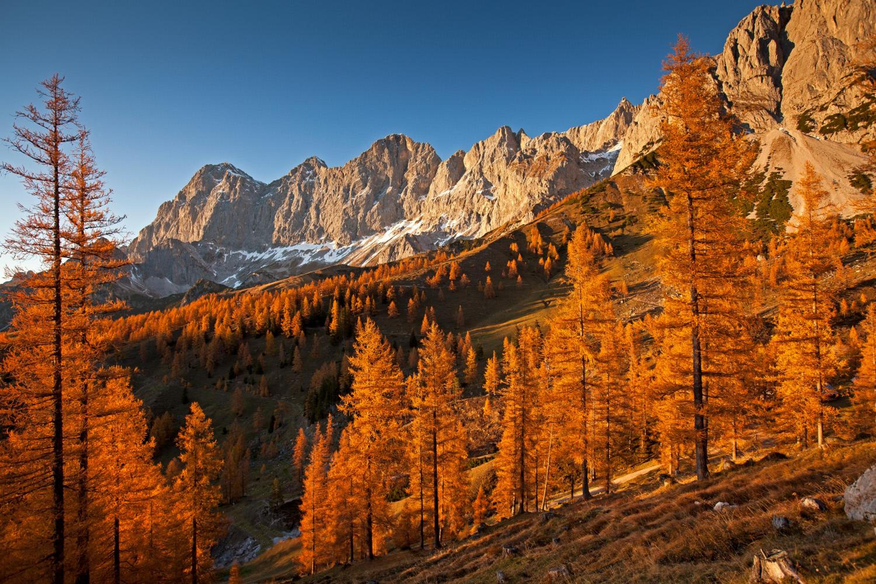 Aloha Suite - Schladming Dachstein