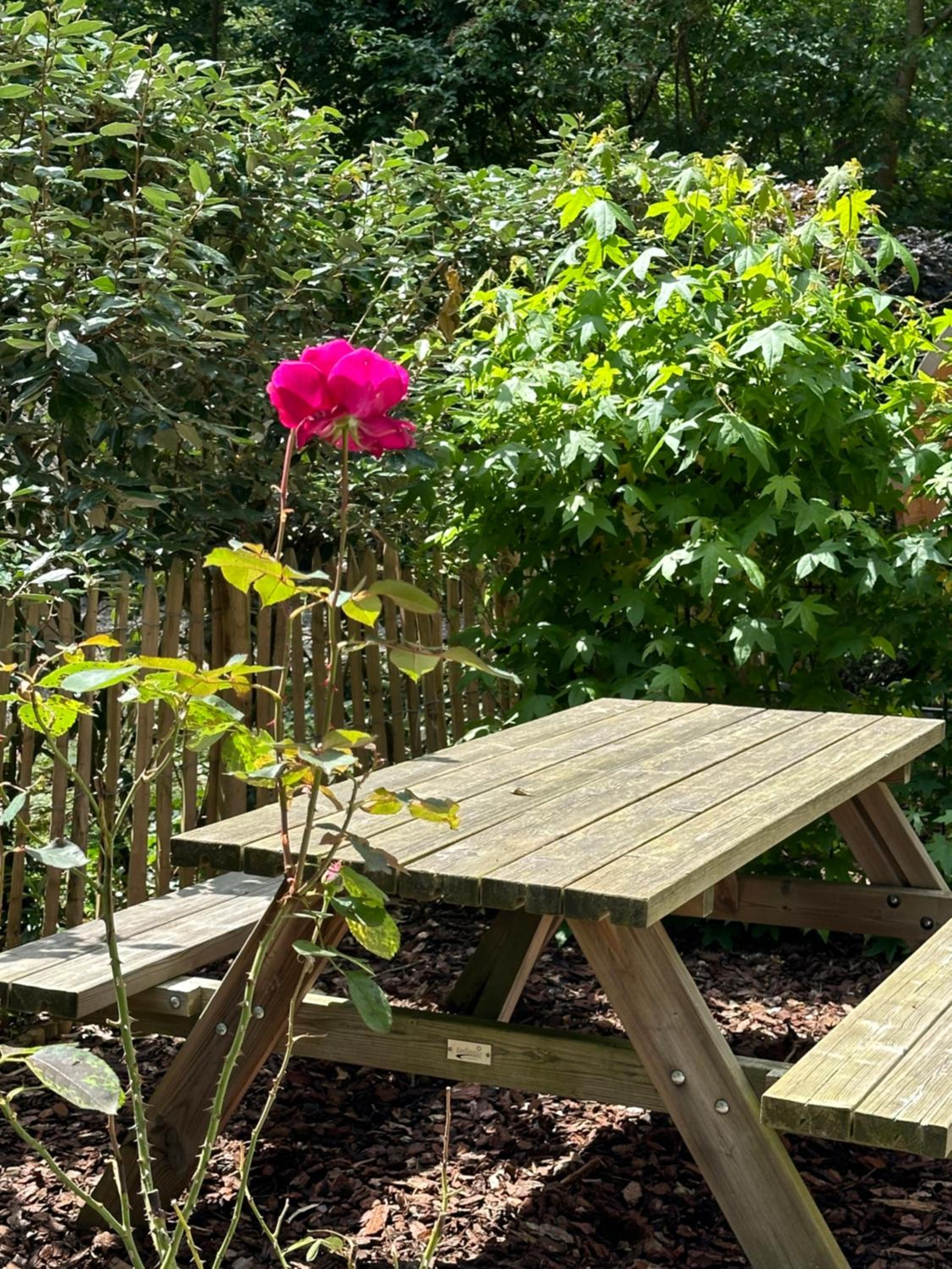 Vakantiewoning Waag
