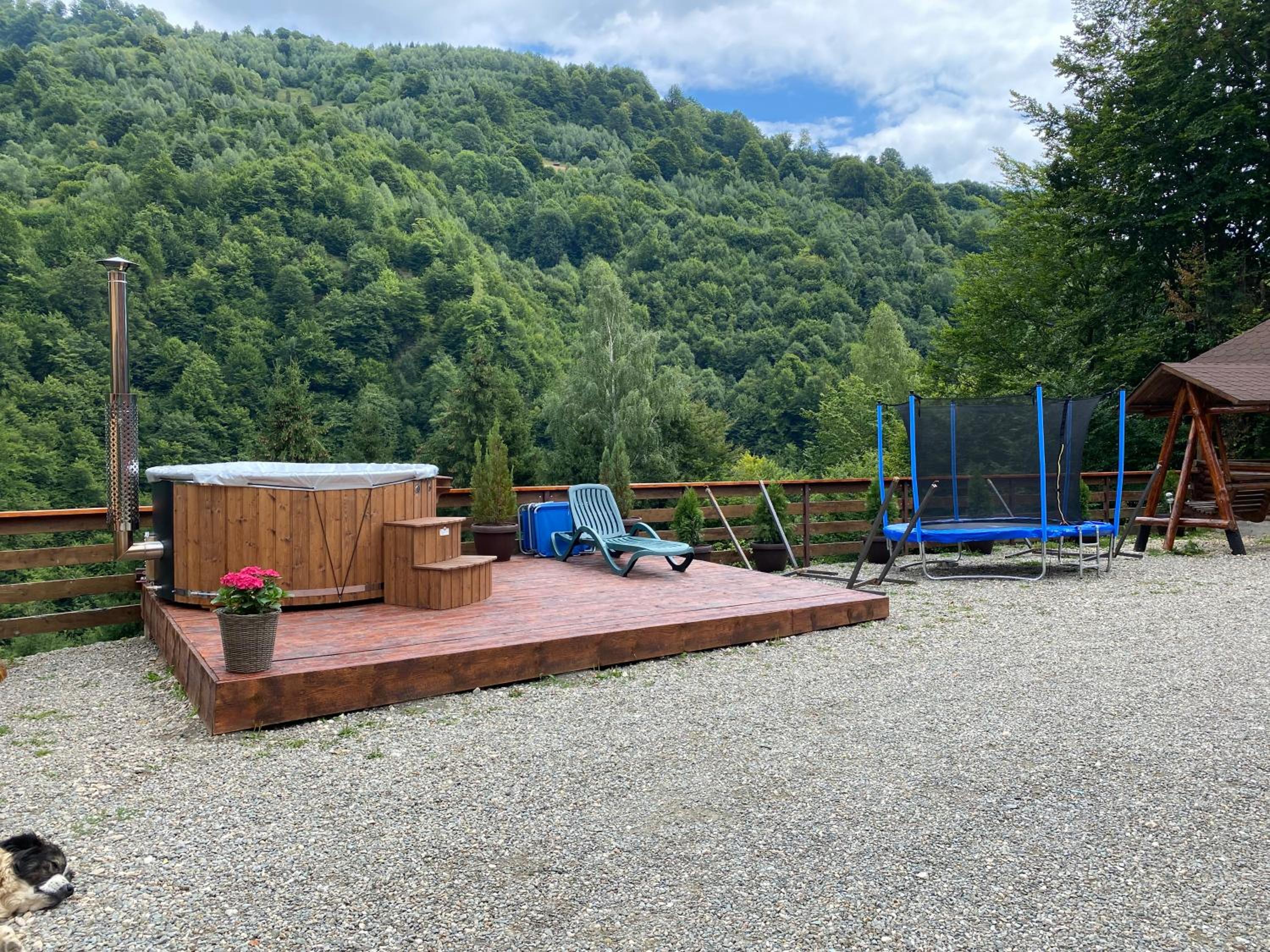 Pensiunea Valea Râsului view 3