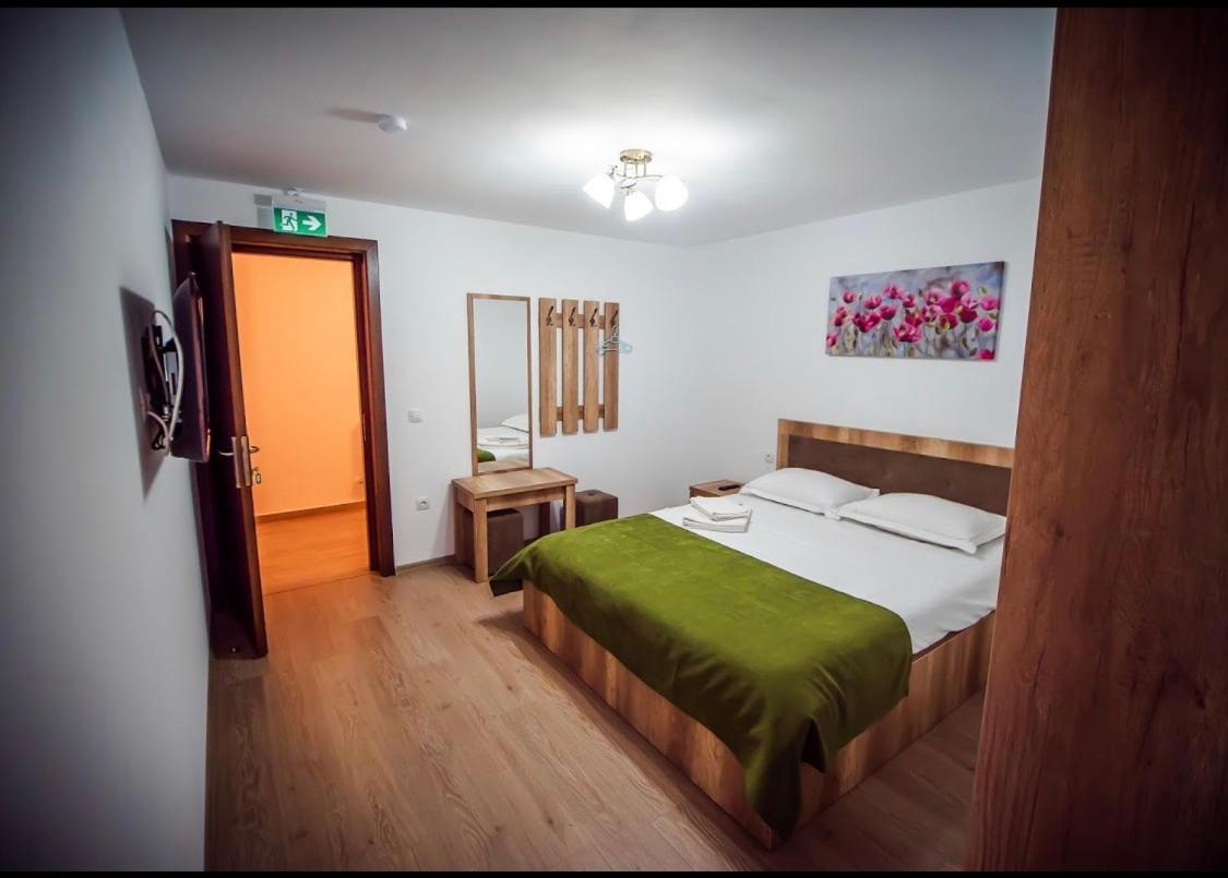 Pensiunea Valea Râsului view 4