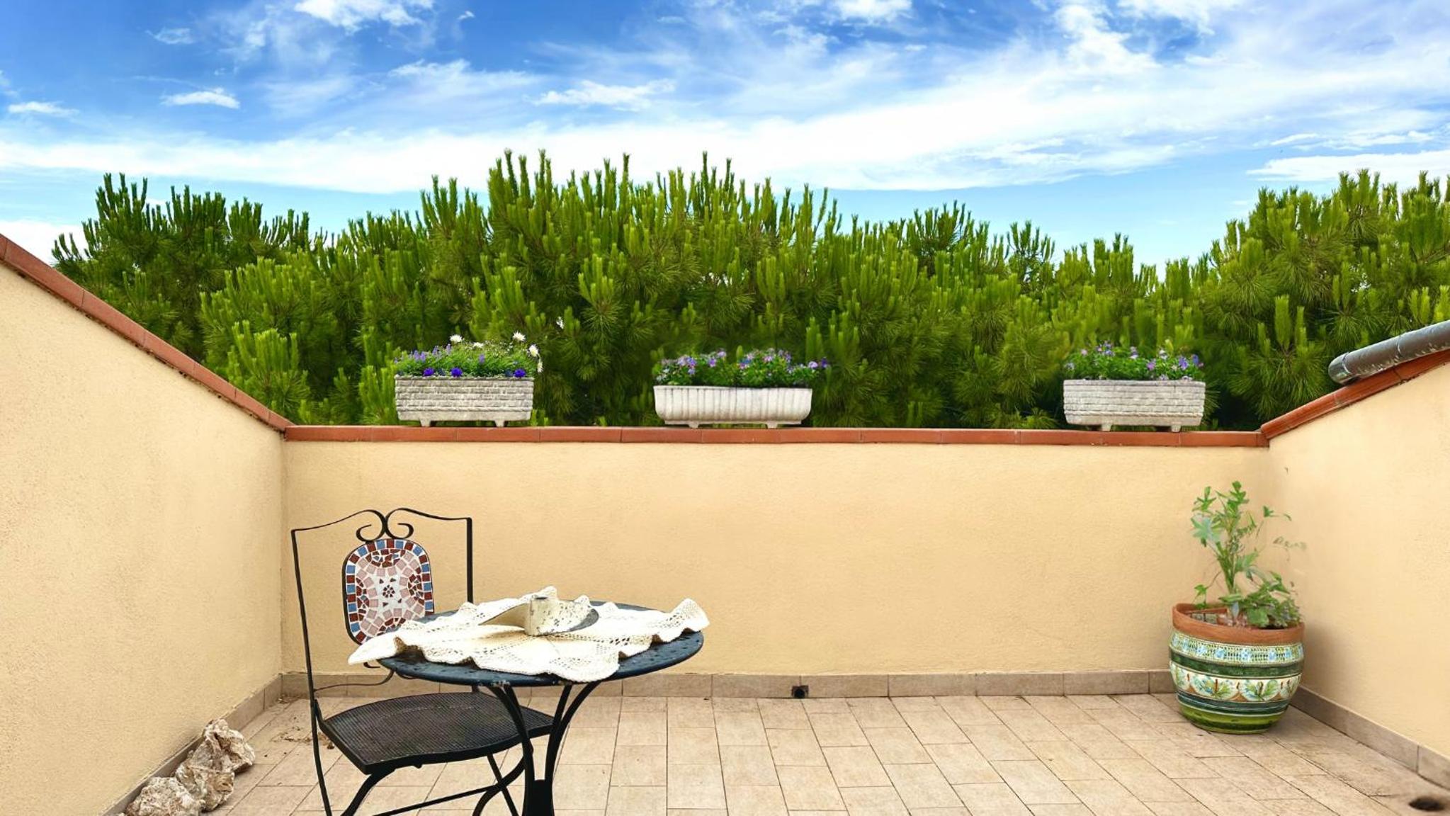 balance & terrace