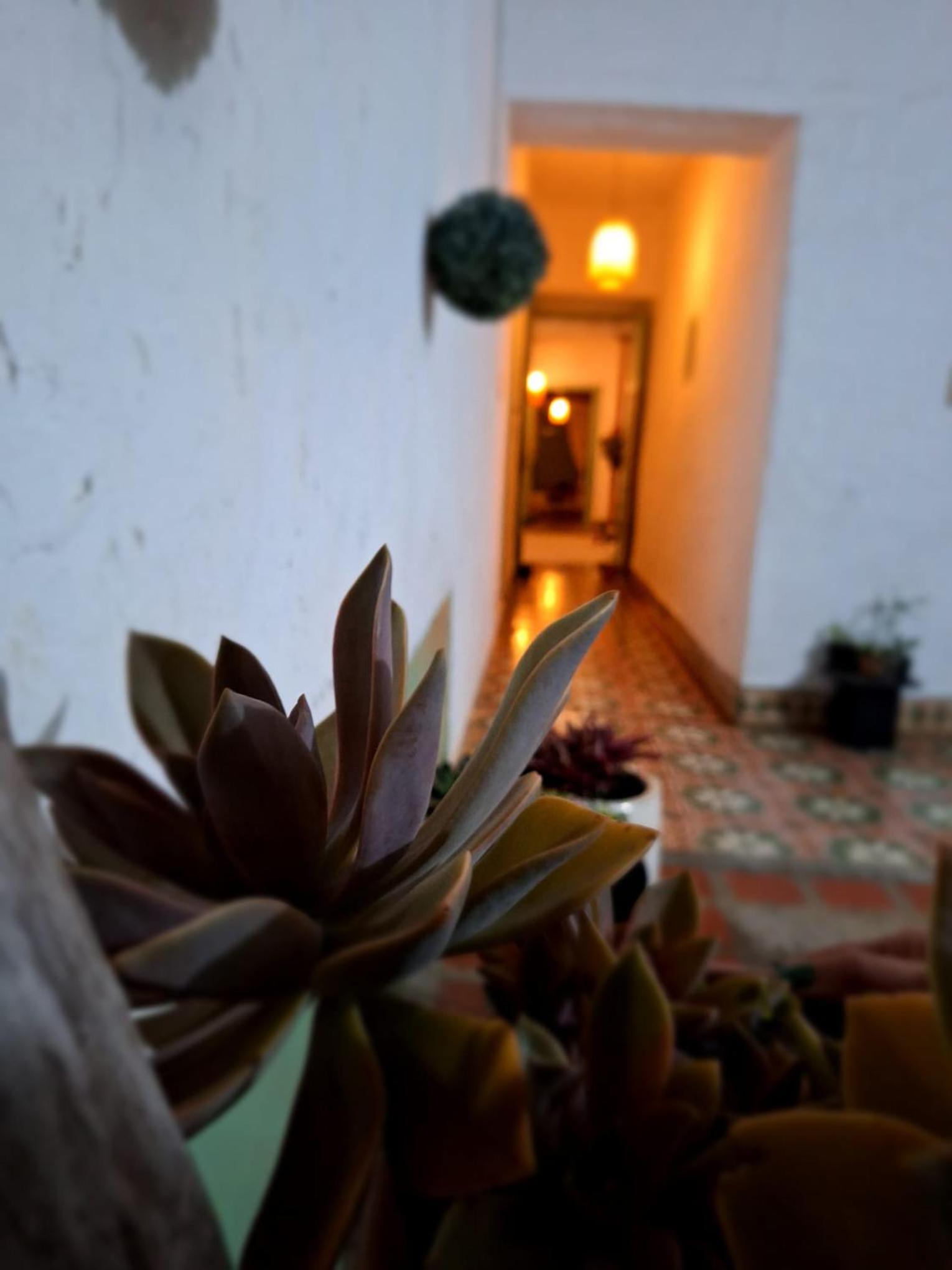 Casa Prana