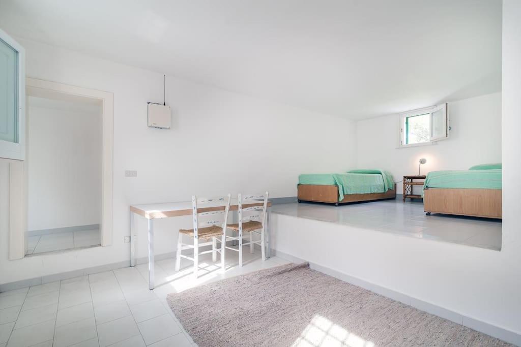 villa with large garden near the sea view 4