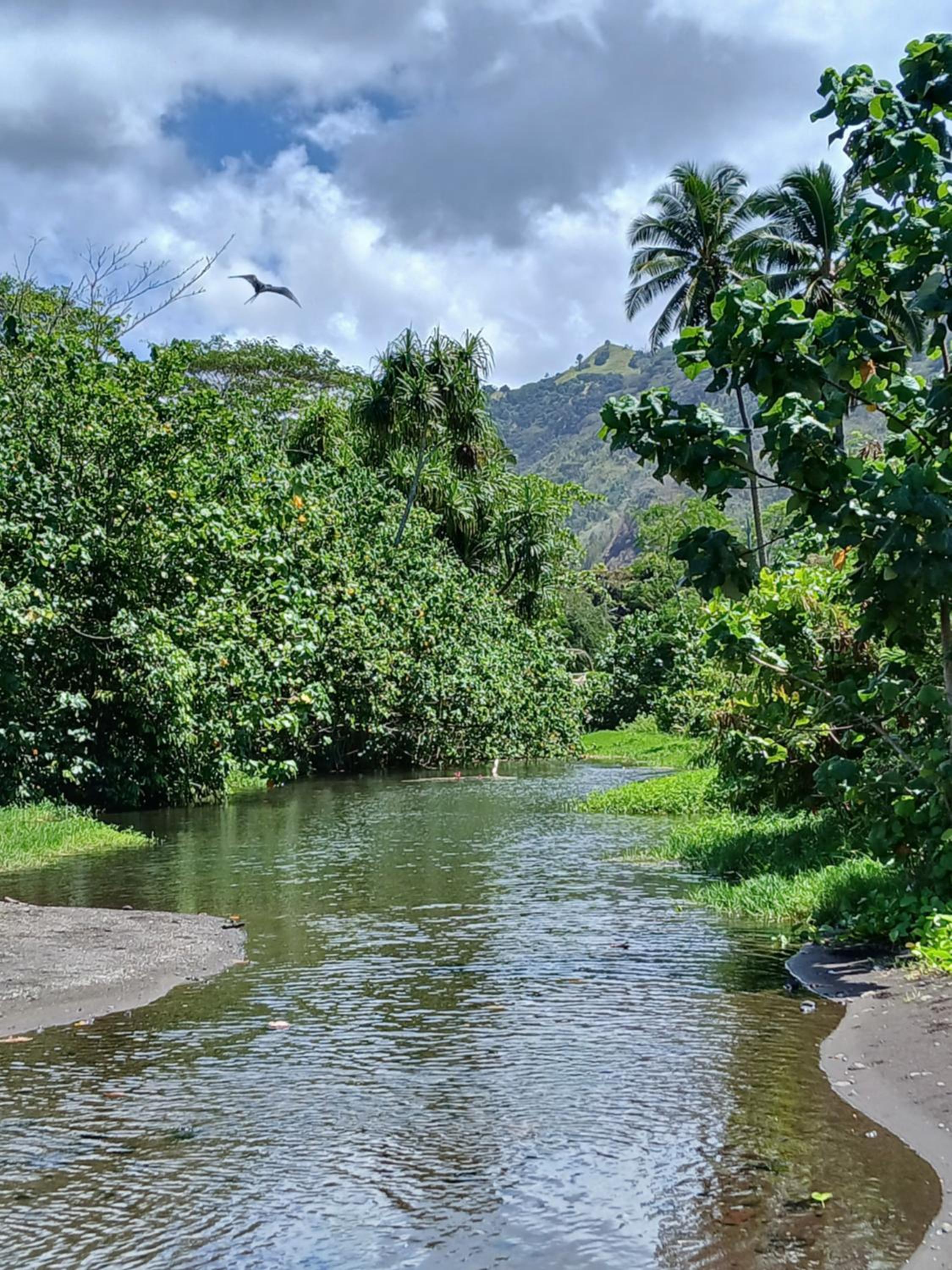 Hiva oa chalets view 4