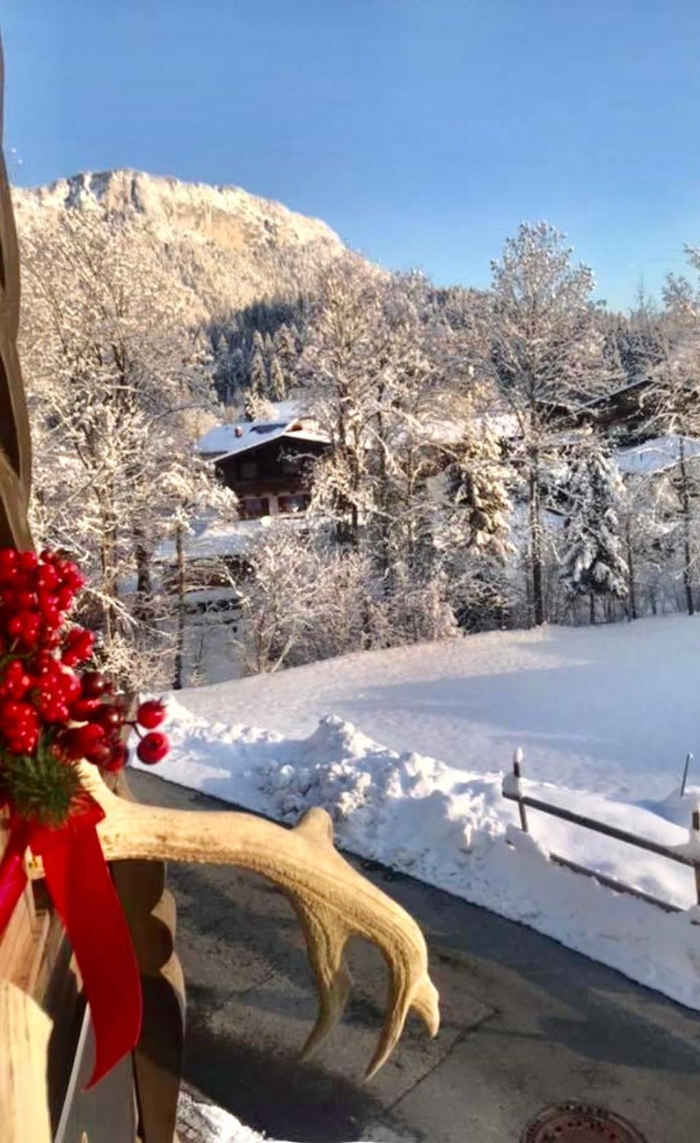 Berg Blick Chalet