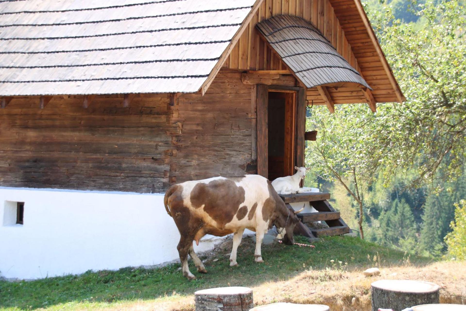 Casa Sufletului