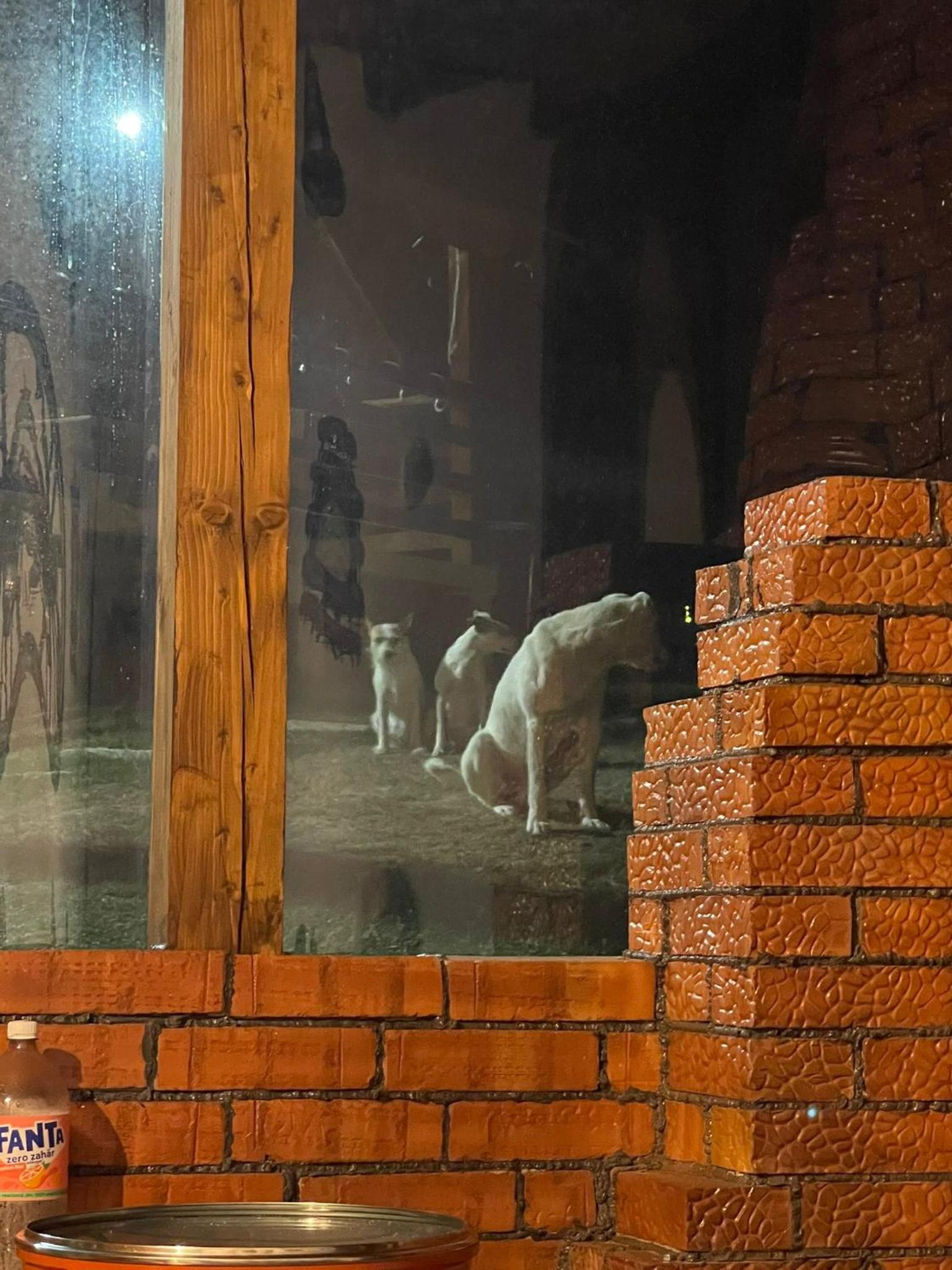Casa Sufletului