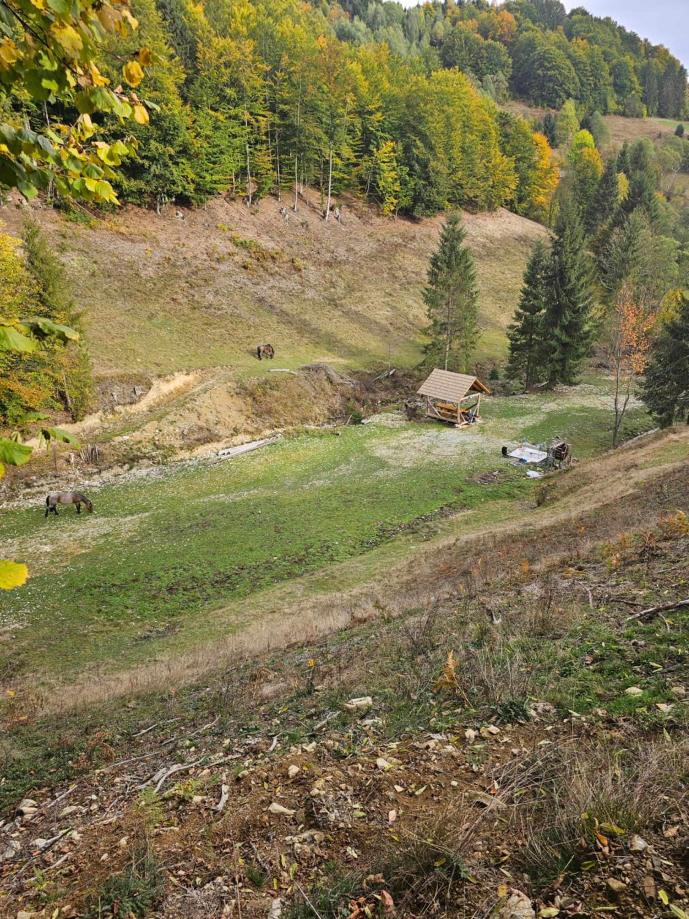 Casa Sufletului