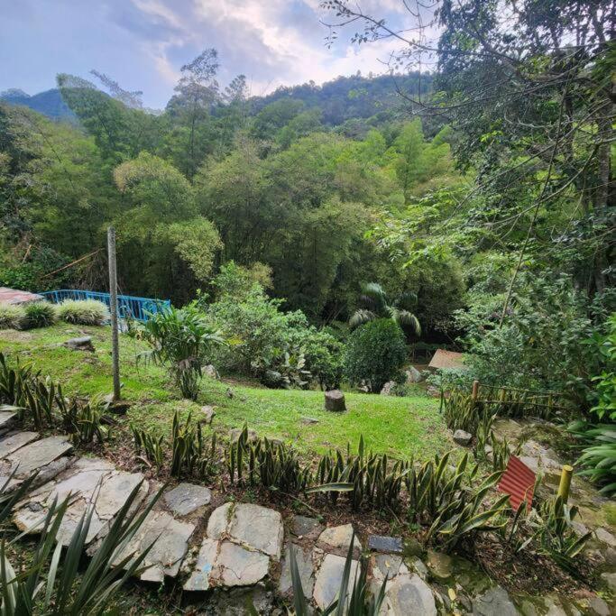 Rincón del Colibrí