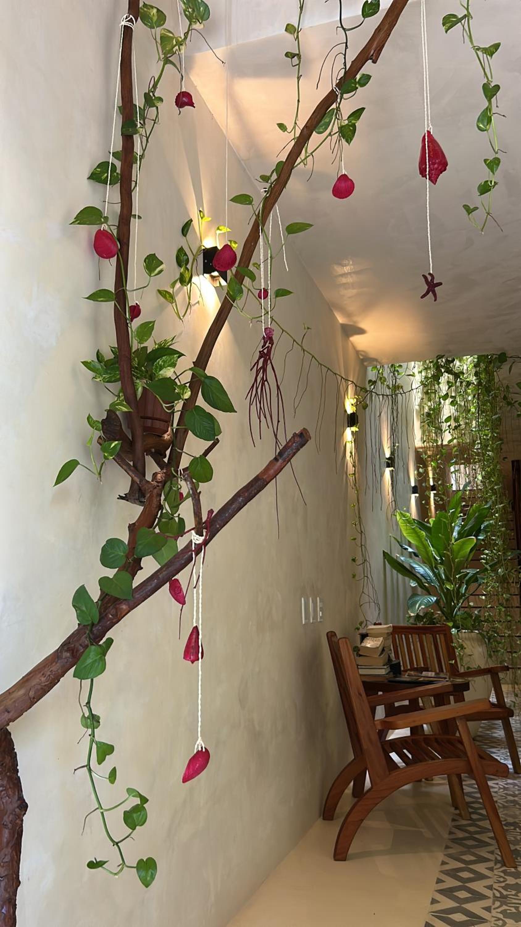 Sunsteps casa holbox