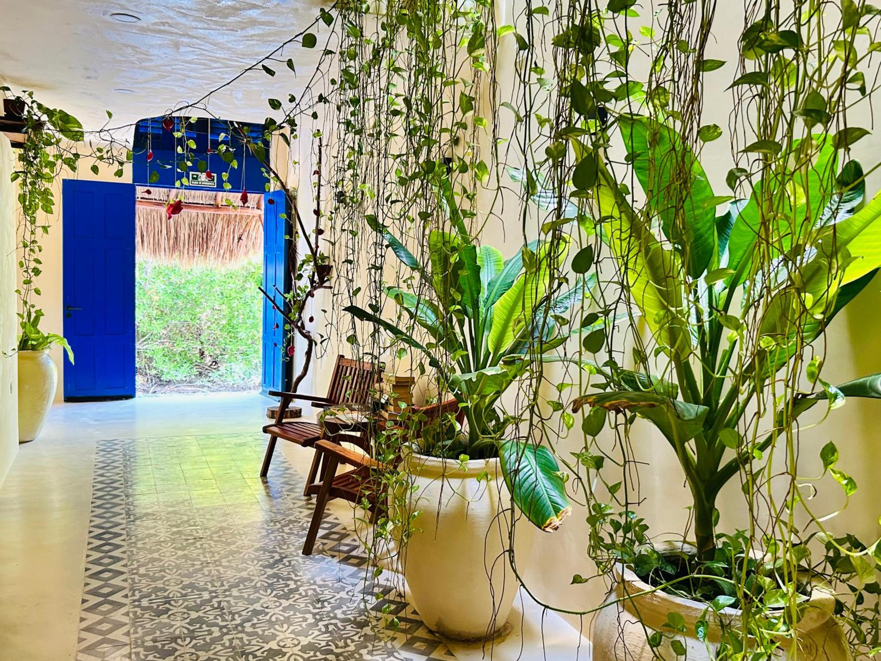 Sunsteps casa holbox