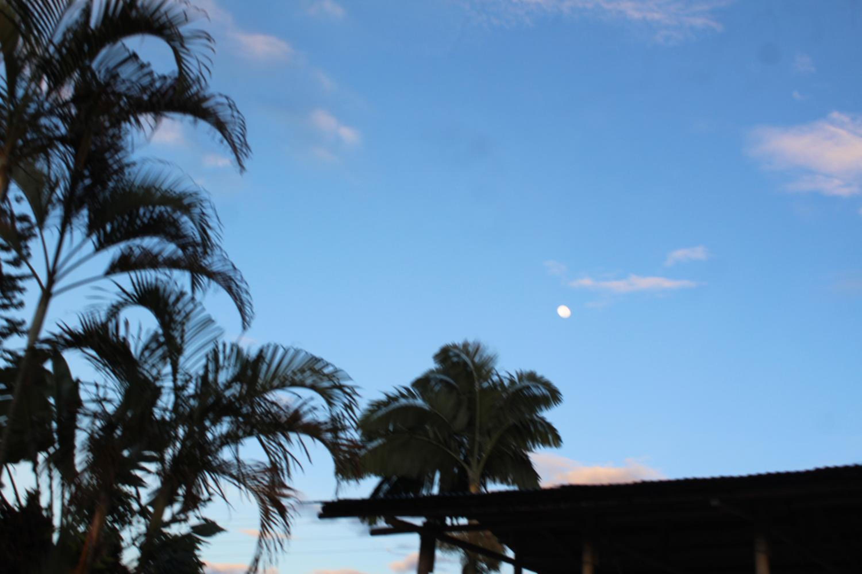 Rancho Ventura