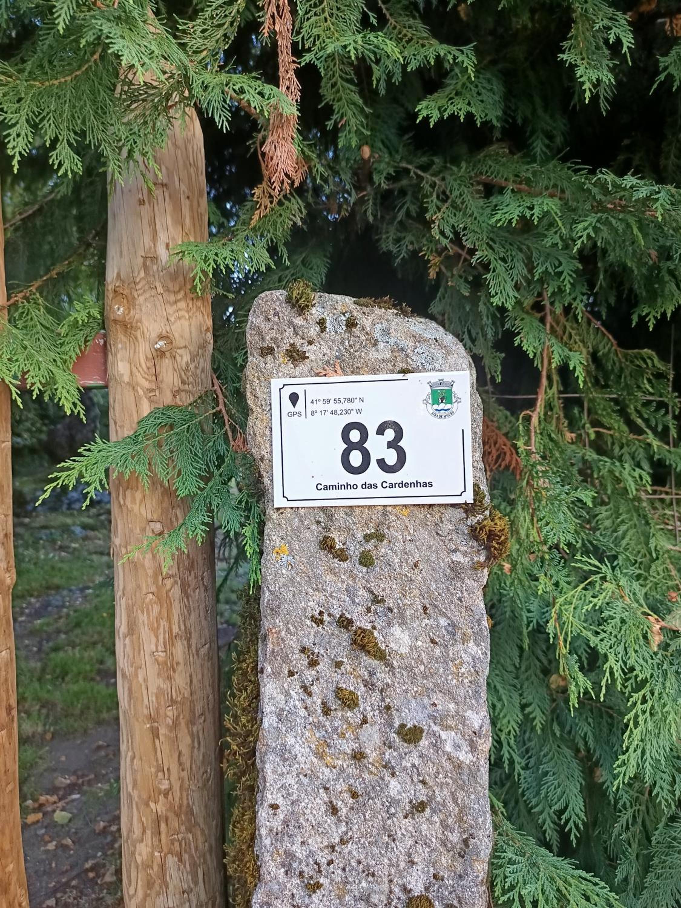 Photo 43
