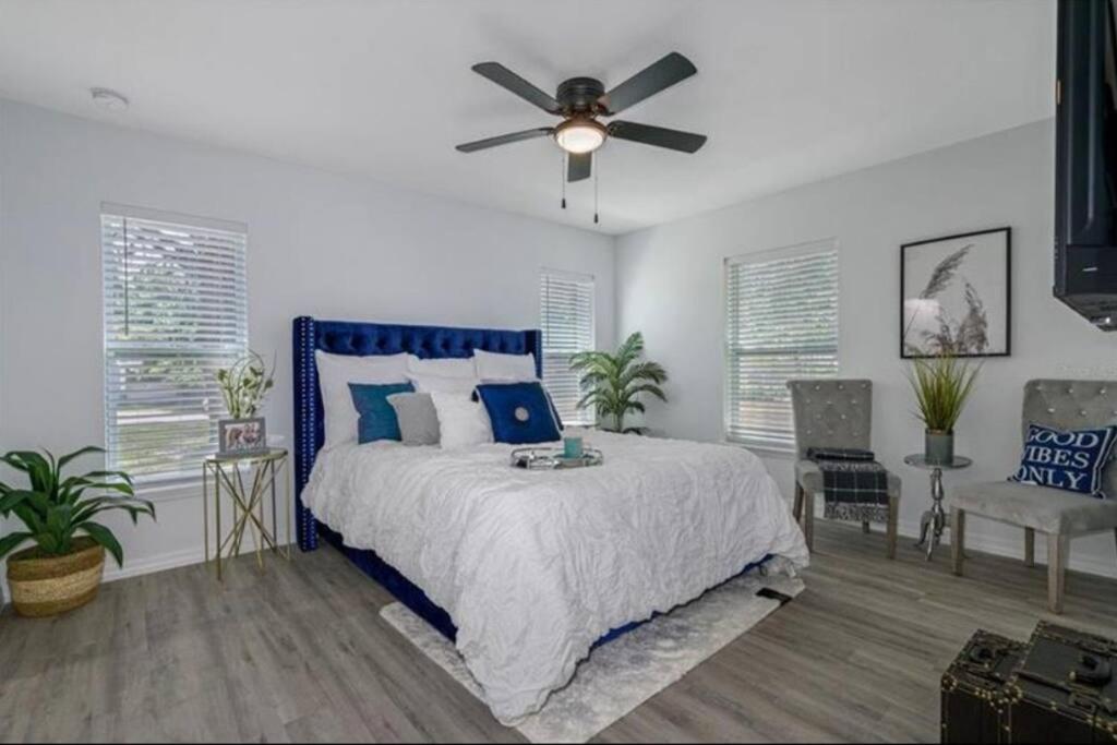 Trendy 2 bed 2 bath Heart of Tampa Unit B view 3