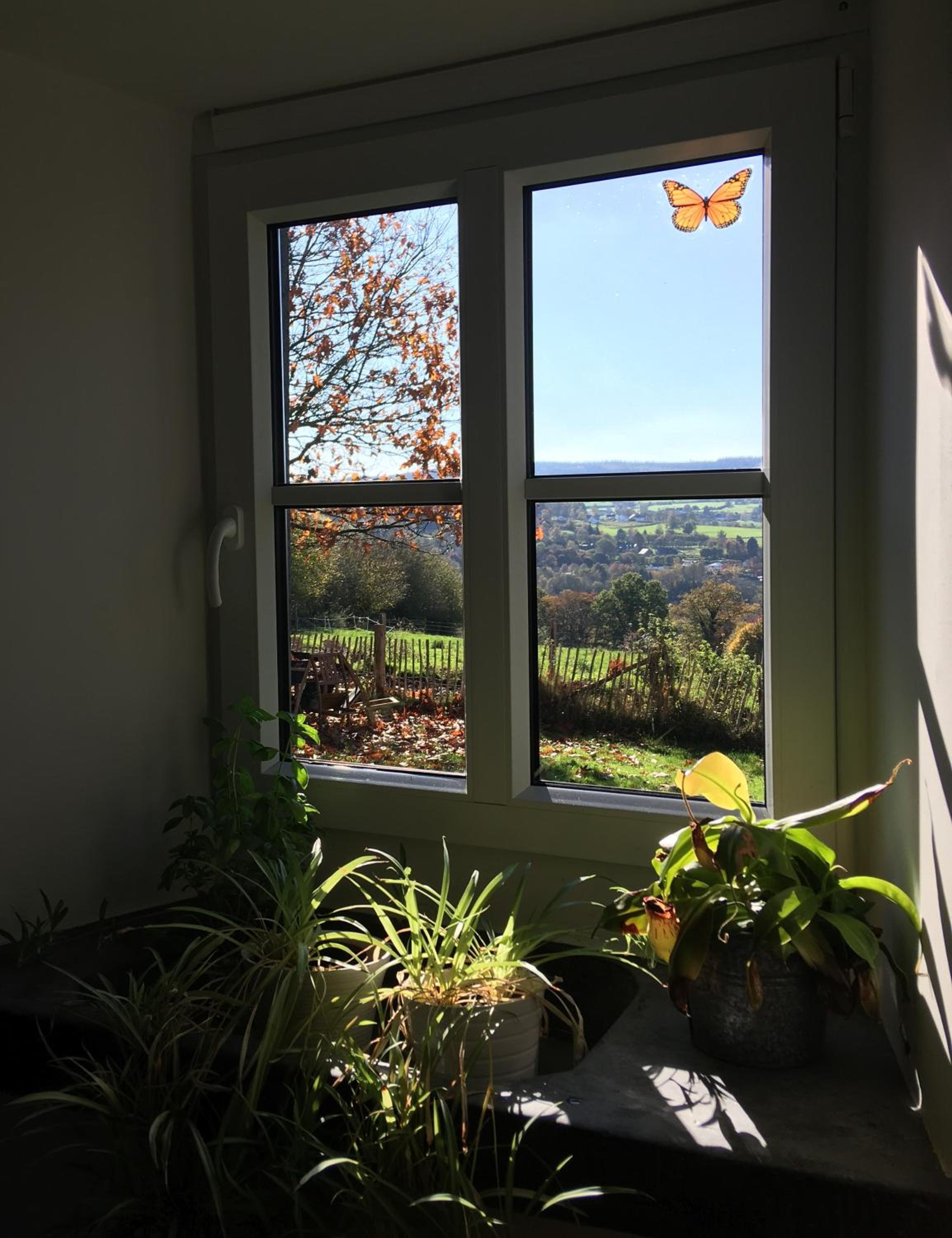 La Maison de Julienne - Ligneuville