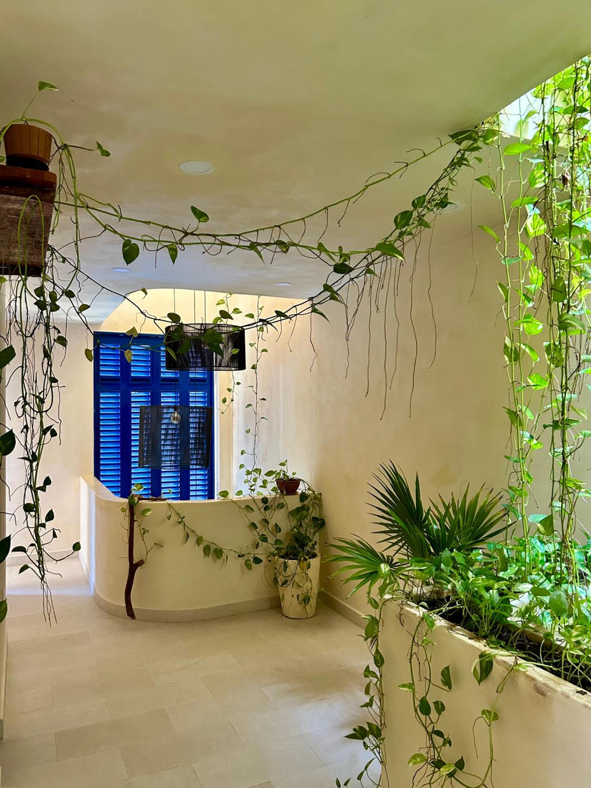 sunsteps Casa holbox