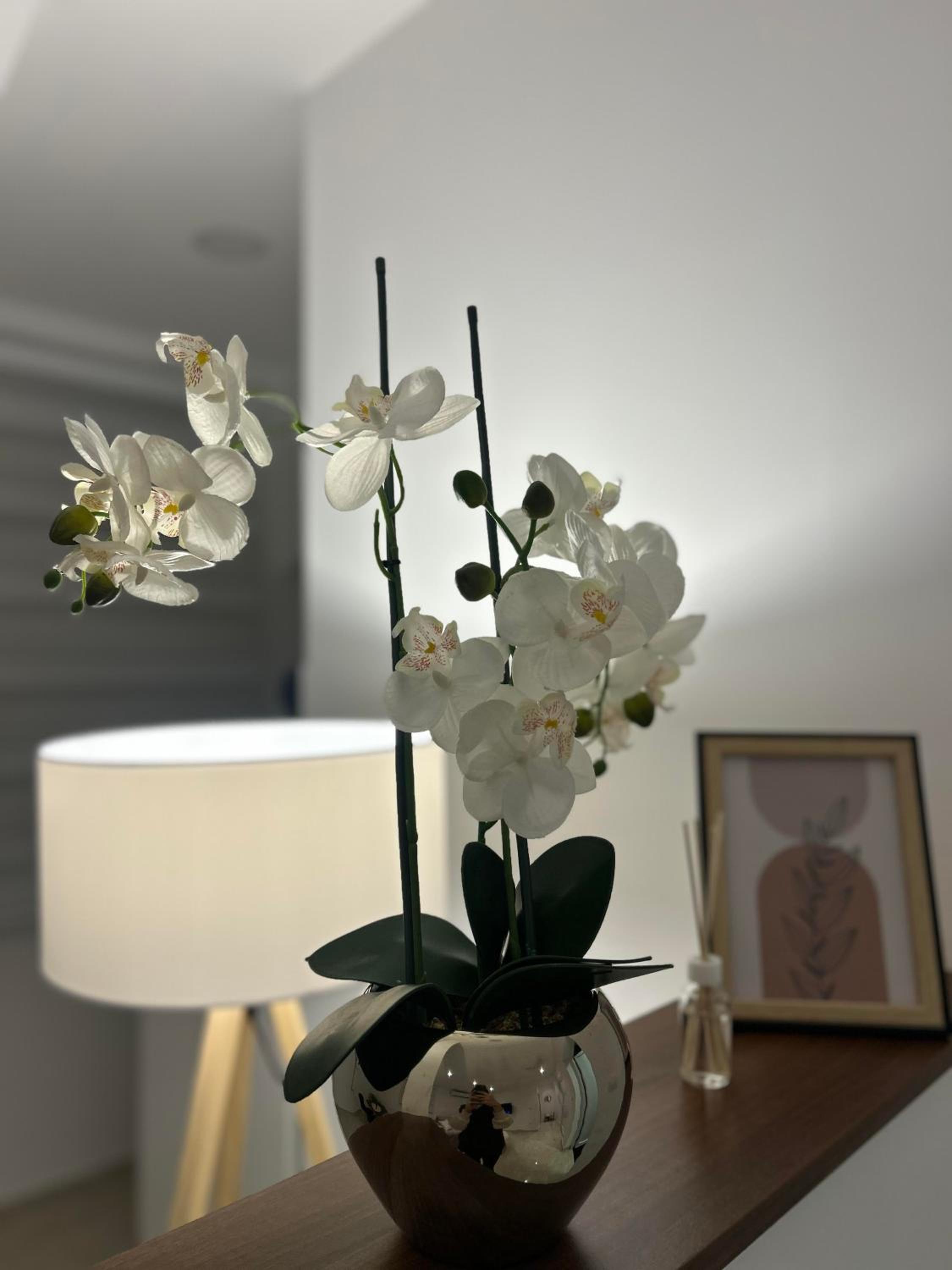 Apartman Cristal LUX
