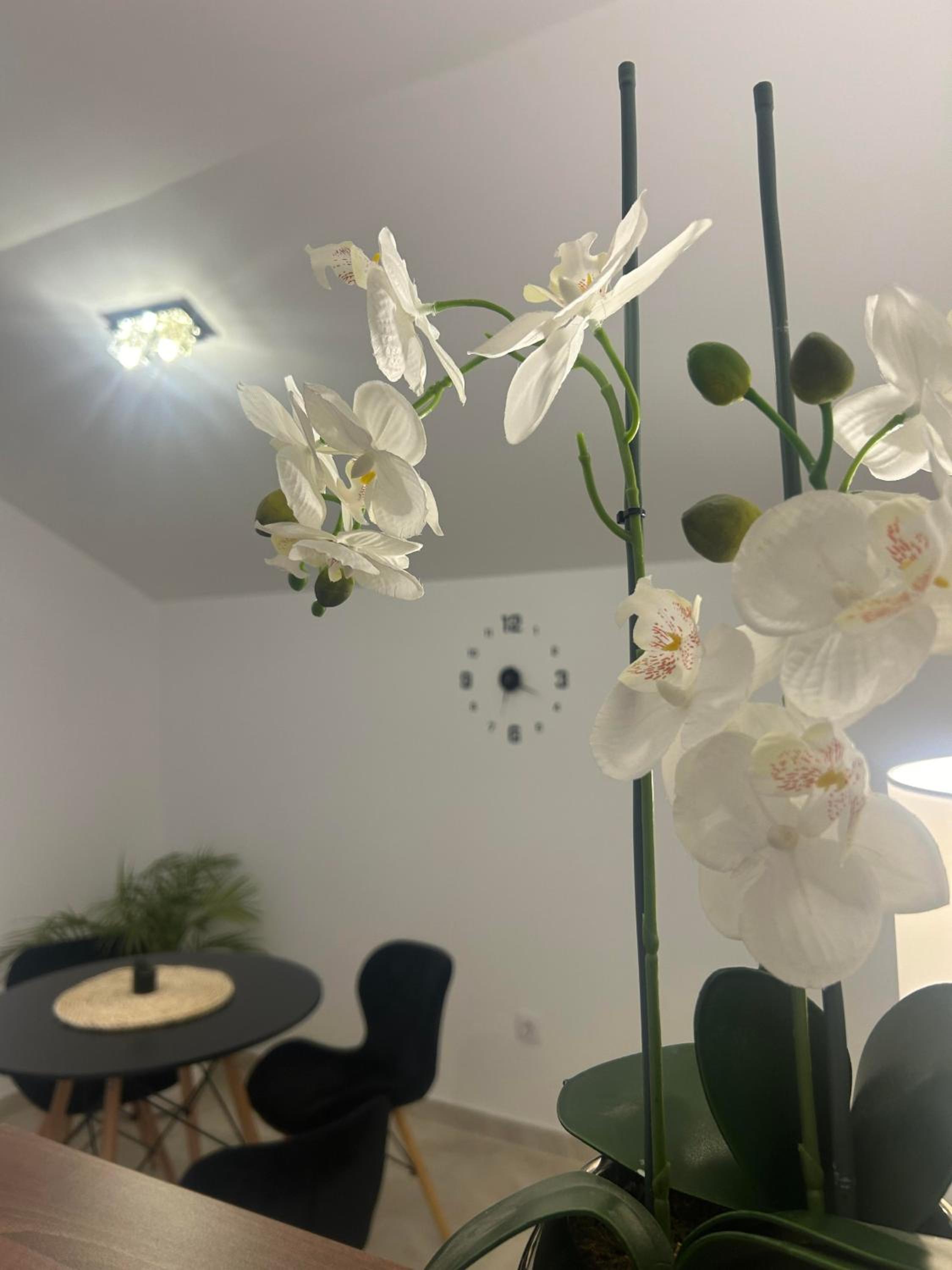 Apartman Cristal LUX
