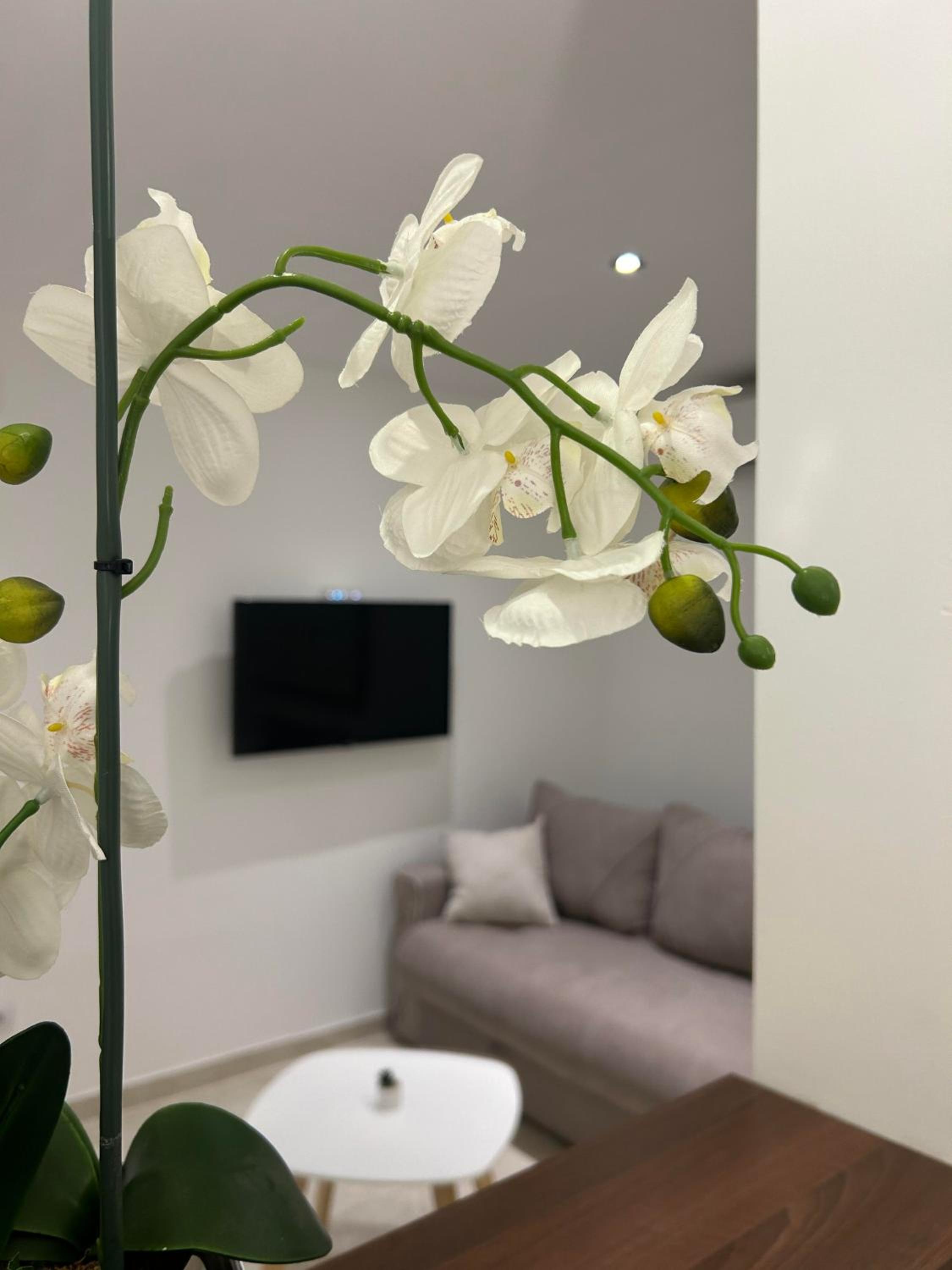 Apartman Cristal LUX