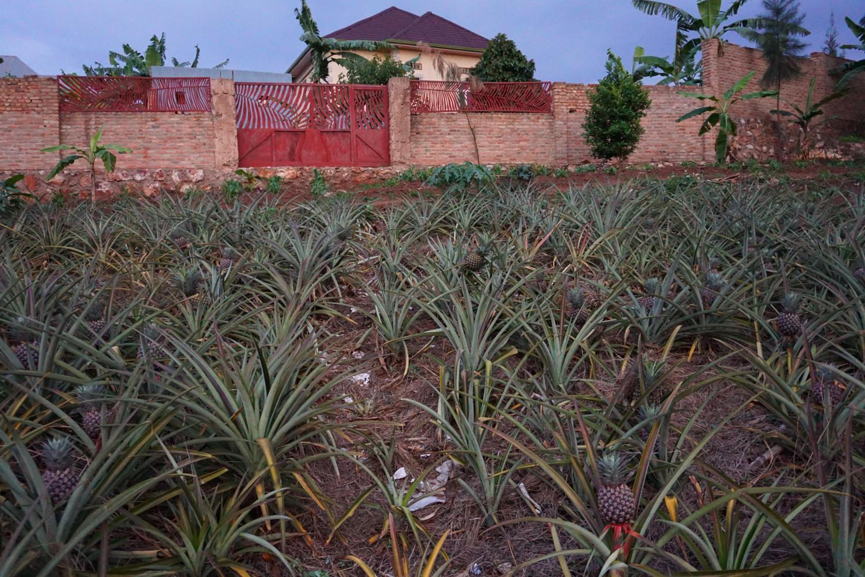 Akagera Sunset House