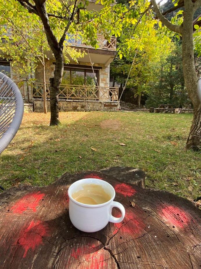 Pinecone Lodge, Eptalofos Wellness Garden Chalet