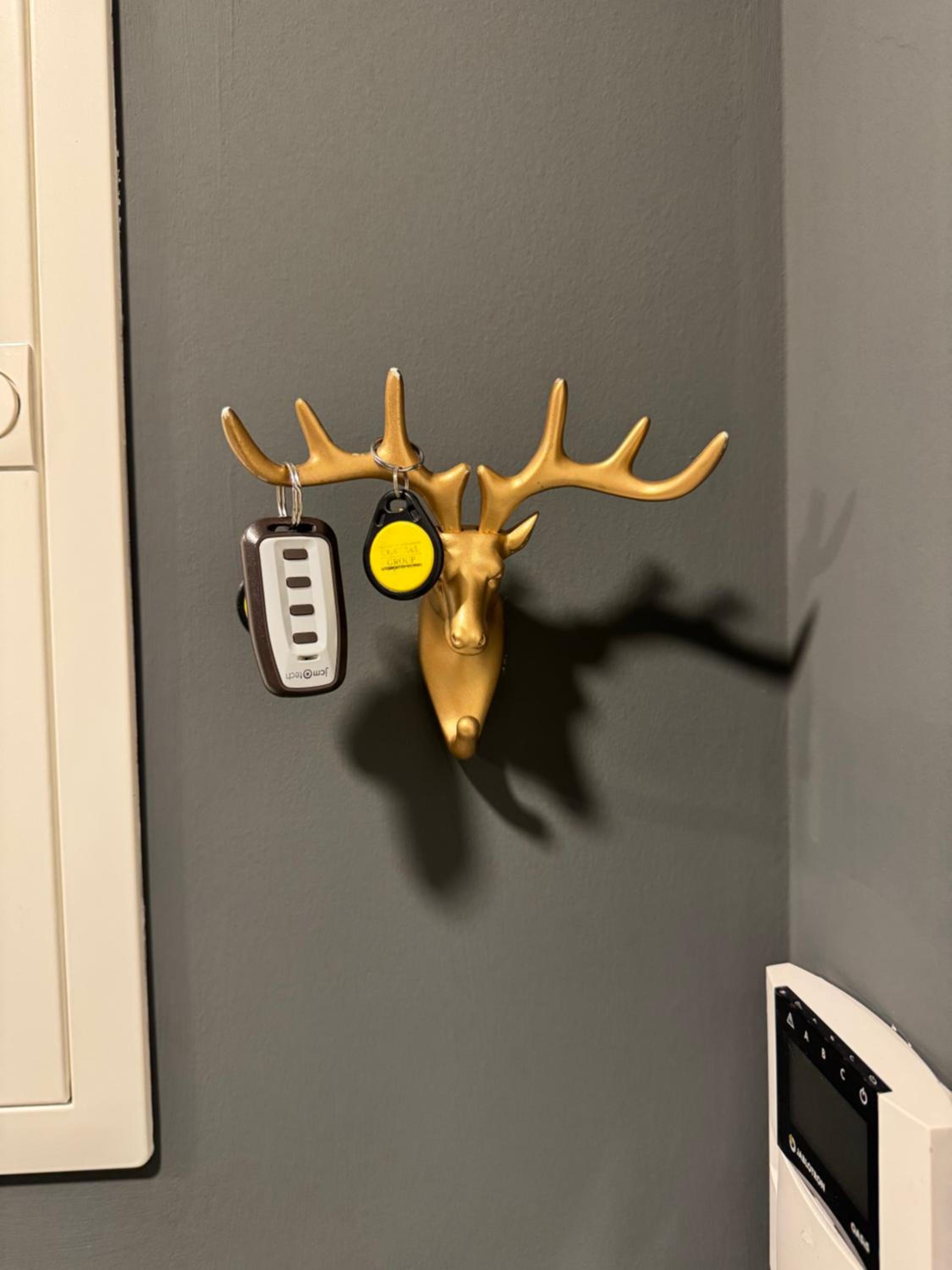 Cozy apt - parking & all amenities