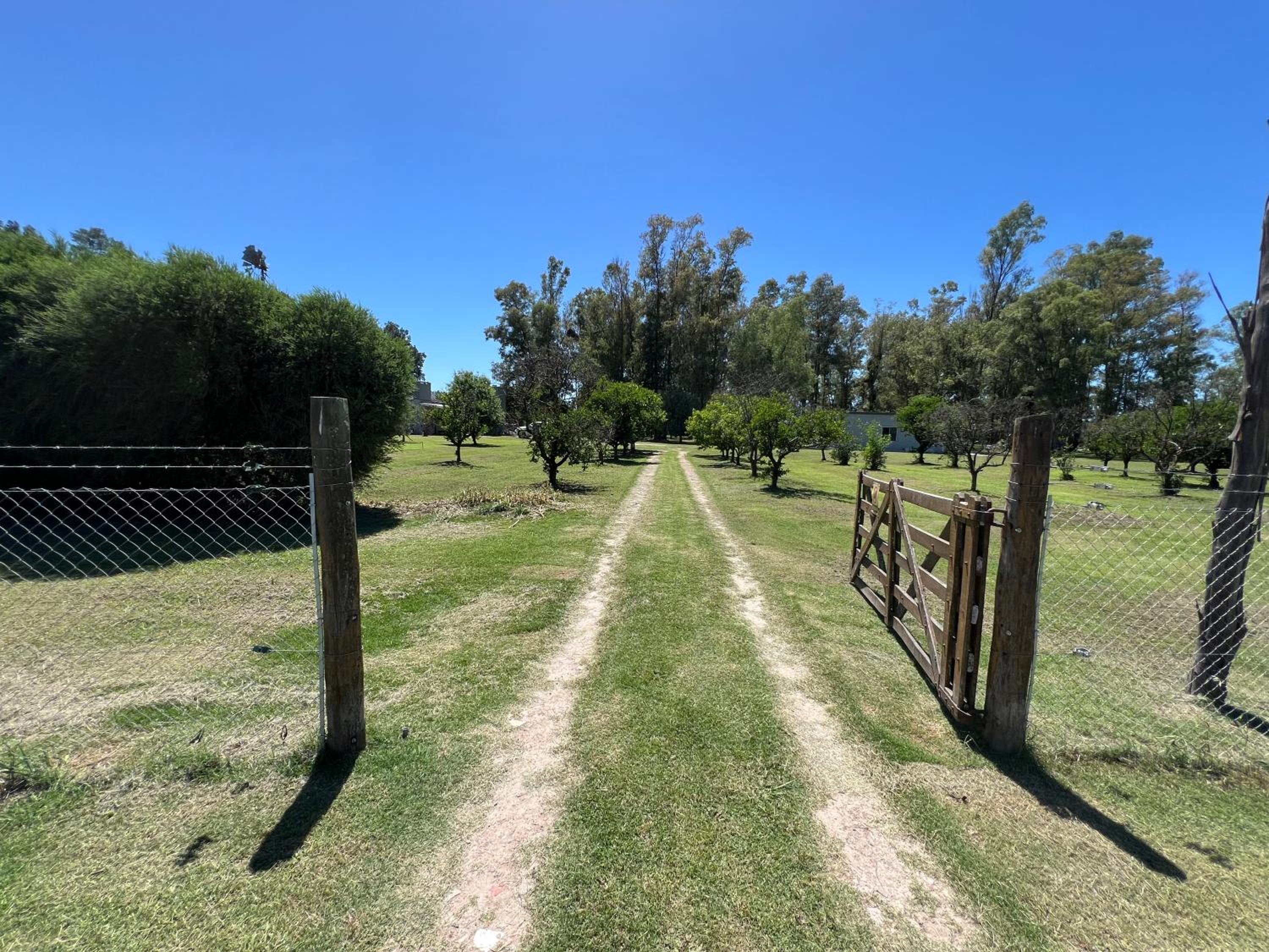 Casa De Campo El Bosque