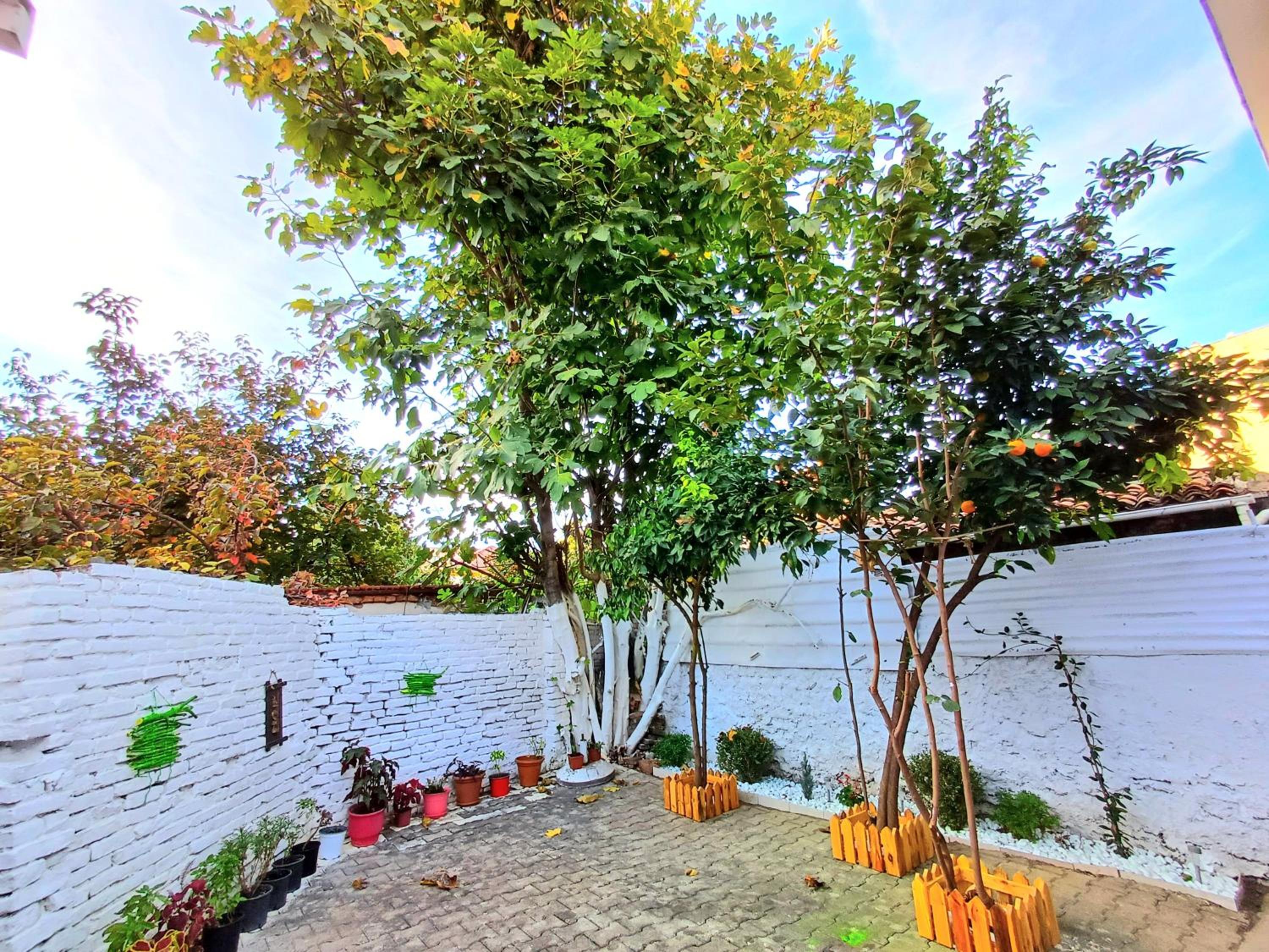 Tirana bloom villa&Apartments