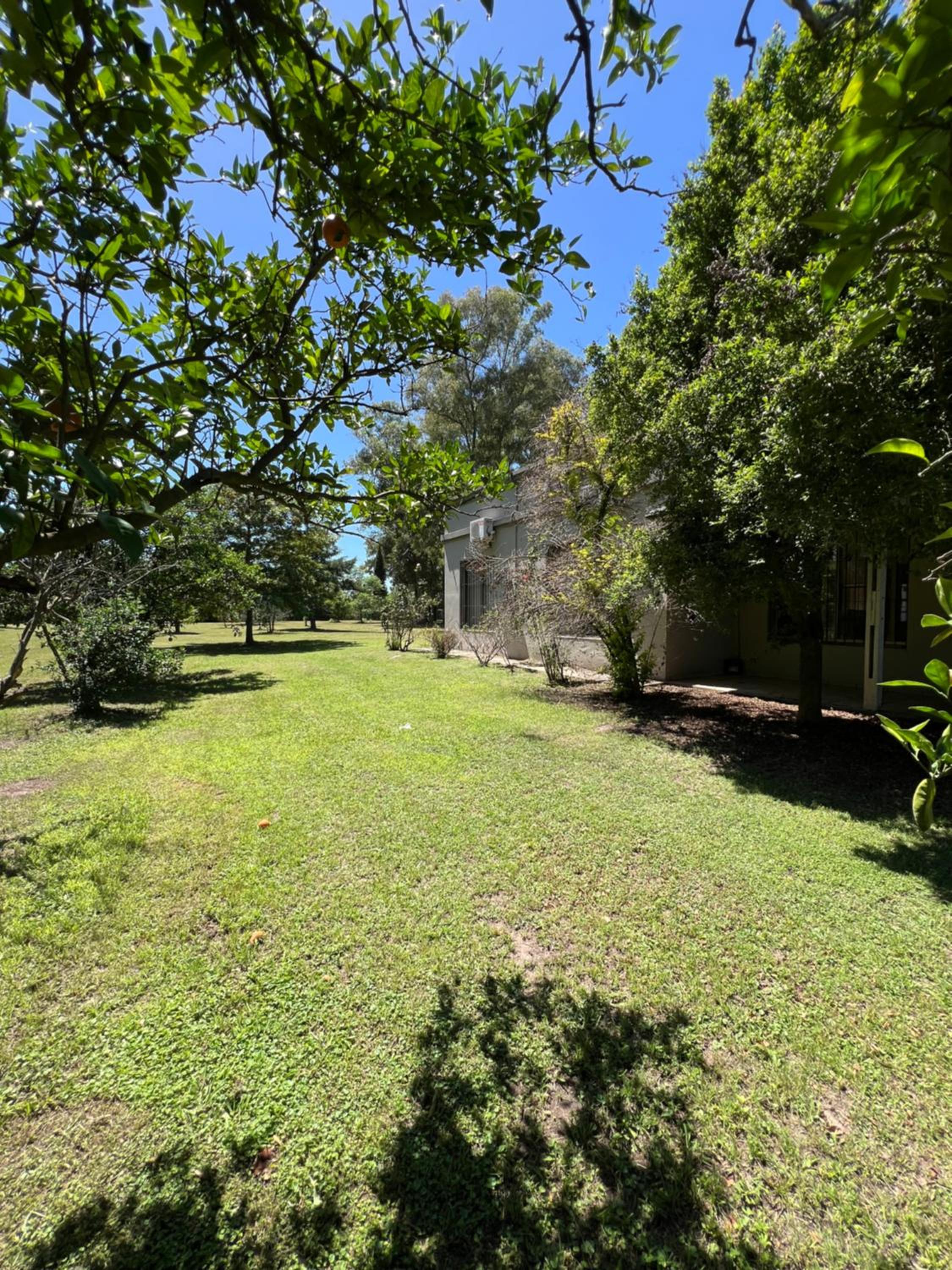 Casa De Campo El Bosque