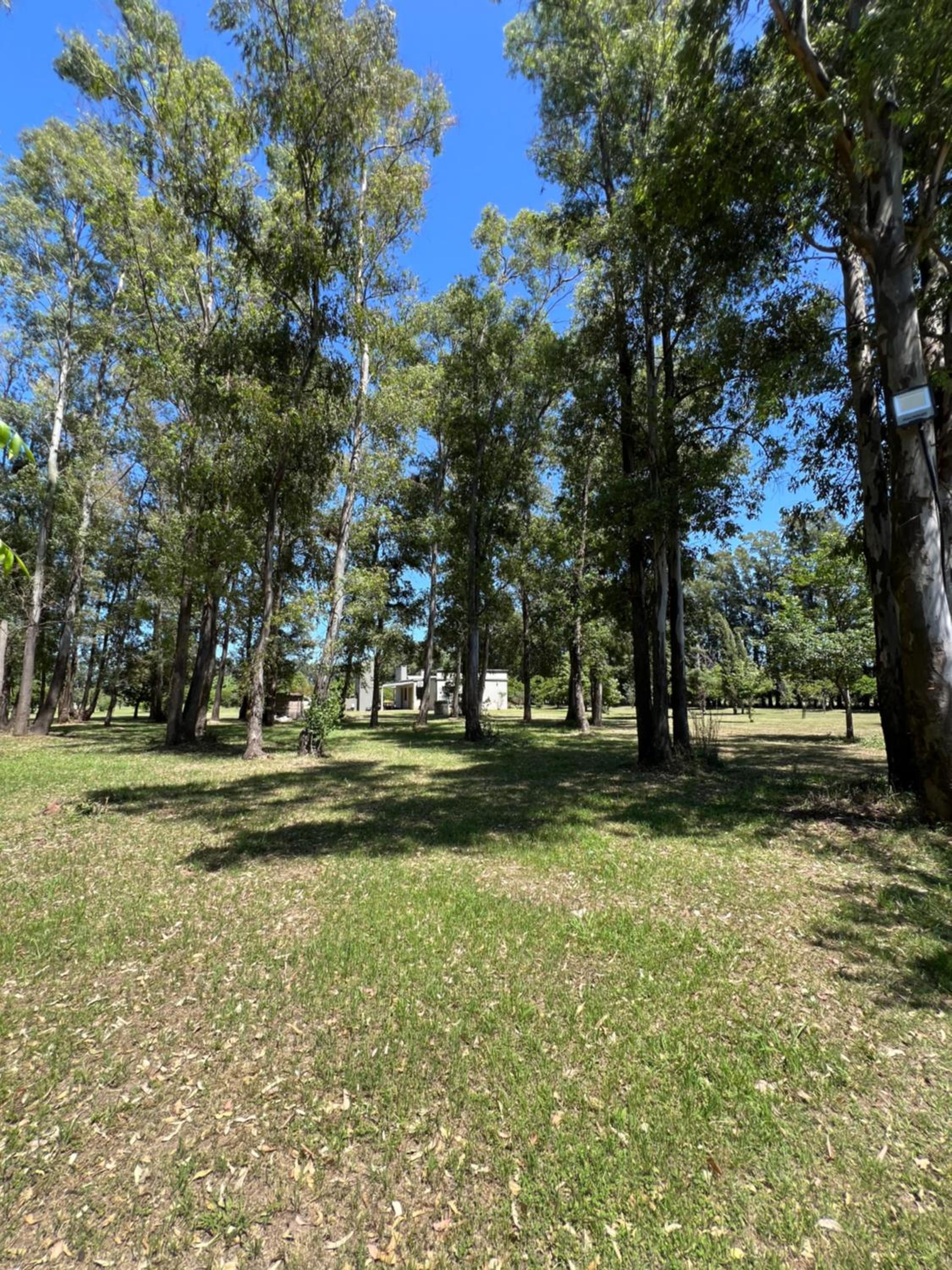 Casa De Campo El Bosque