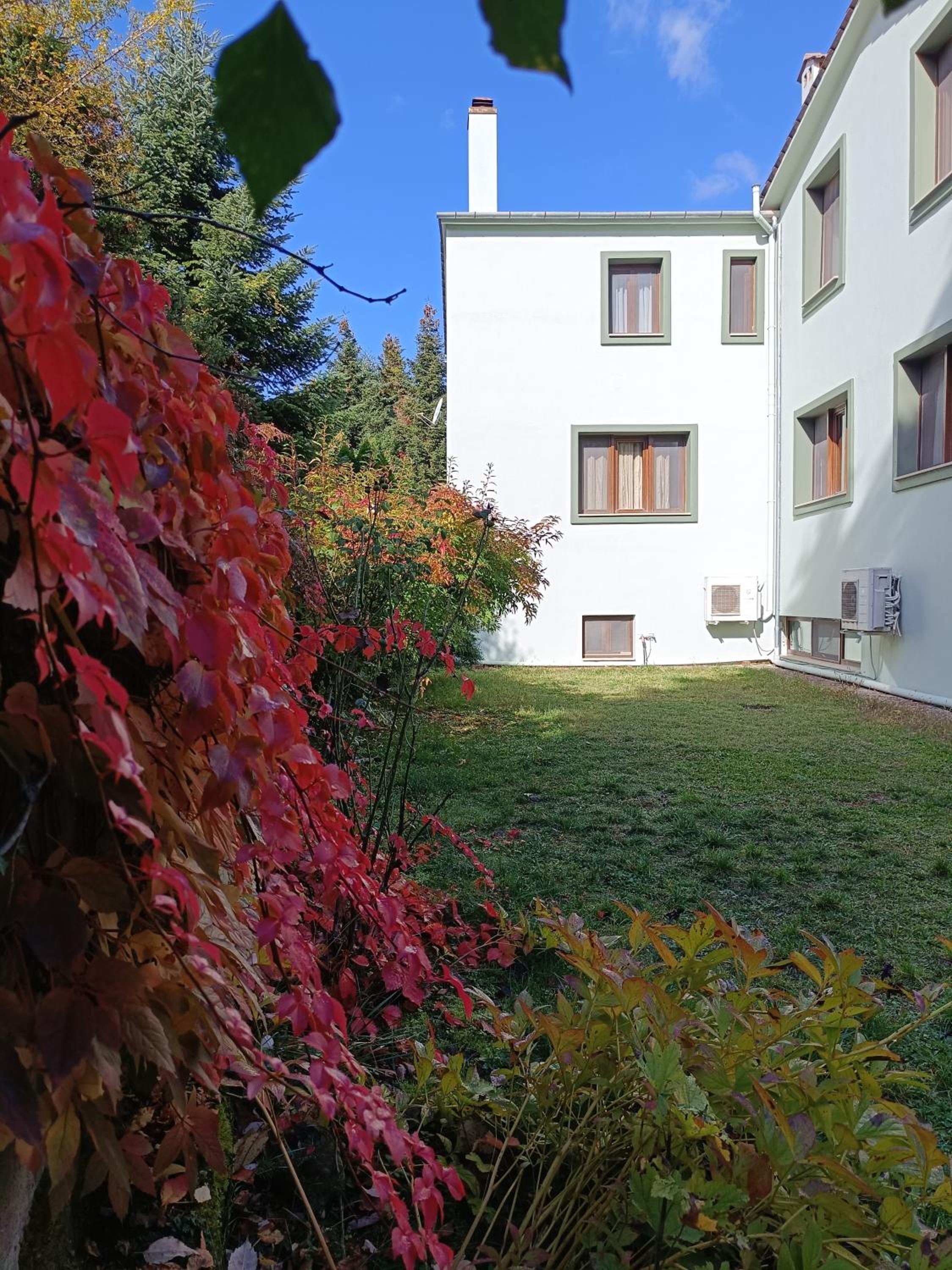 Baldeneige