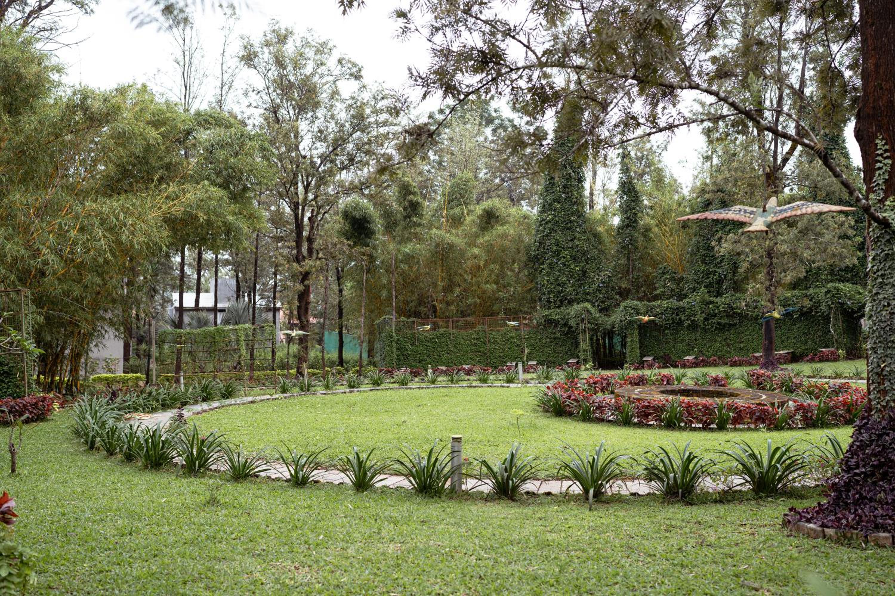 Photo 22