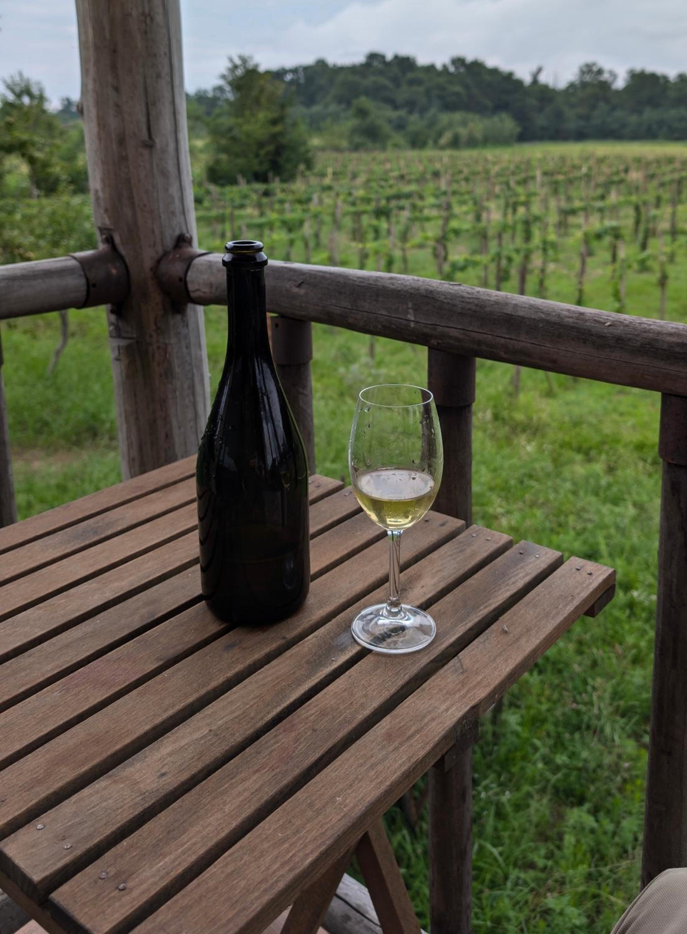 Mshvenieradze Winery