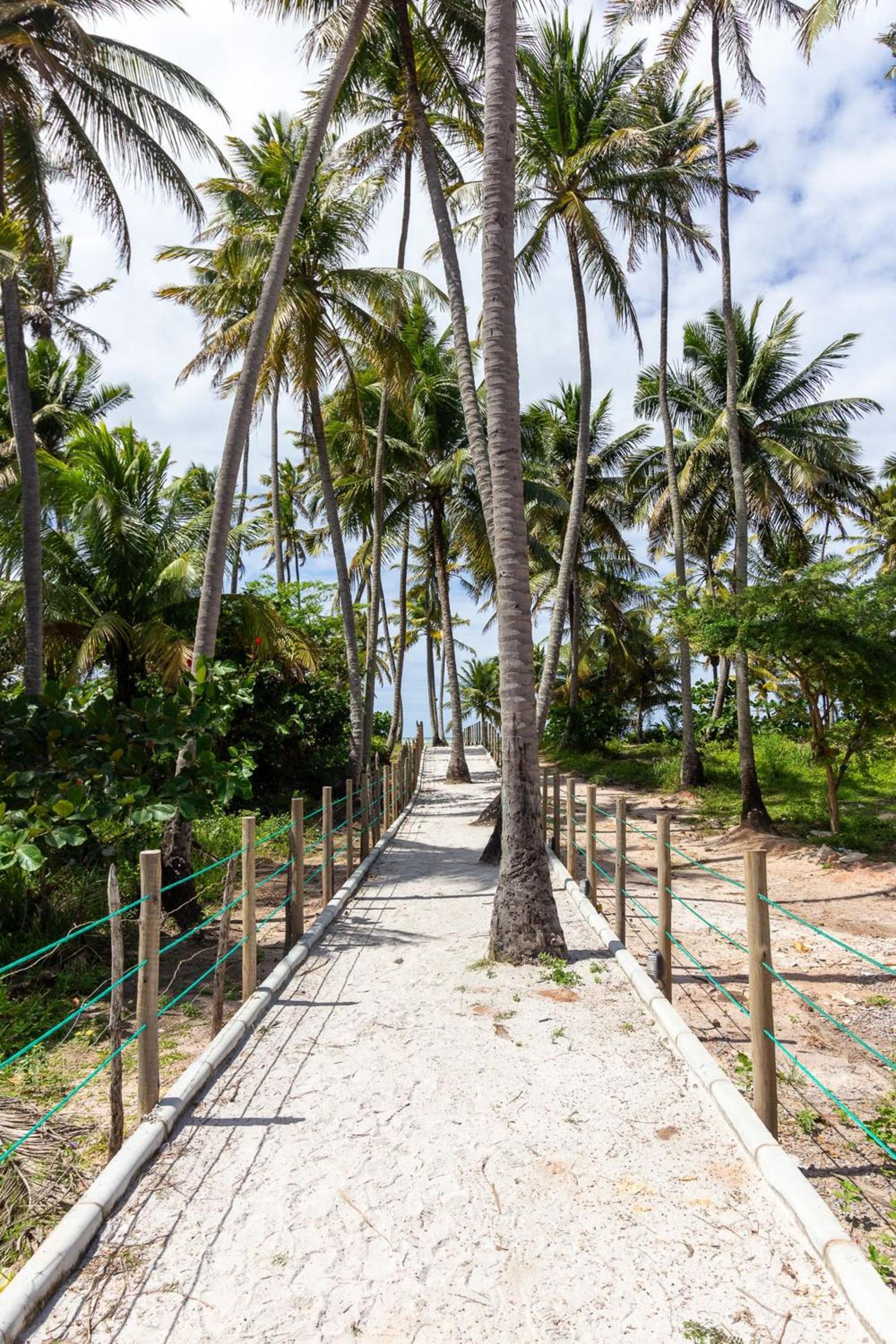 Villa Naluri Frente Mar em Japaratinga por Quarto à Vista