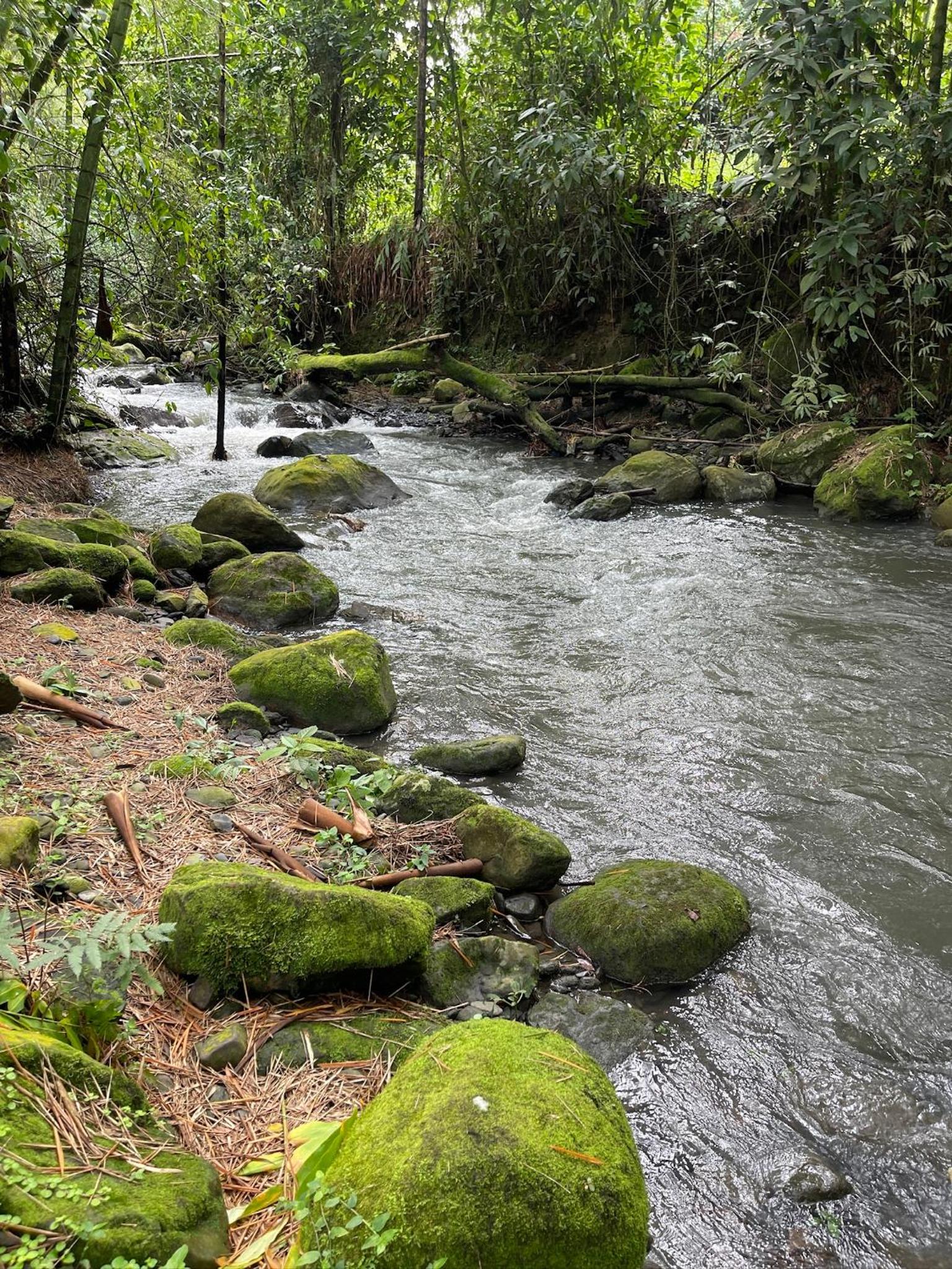 Rincón del Colibrí