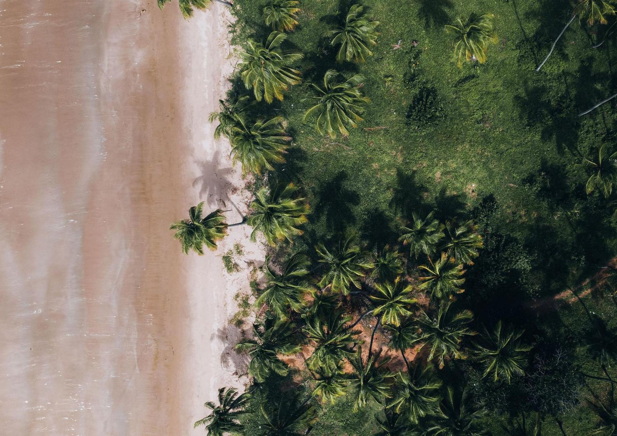Villa Naluri Frente Mar em Japaratinga por Quarto à Vista