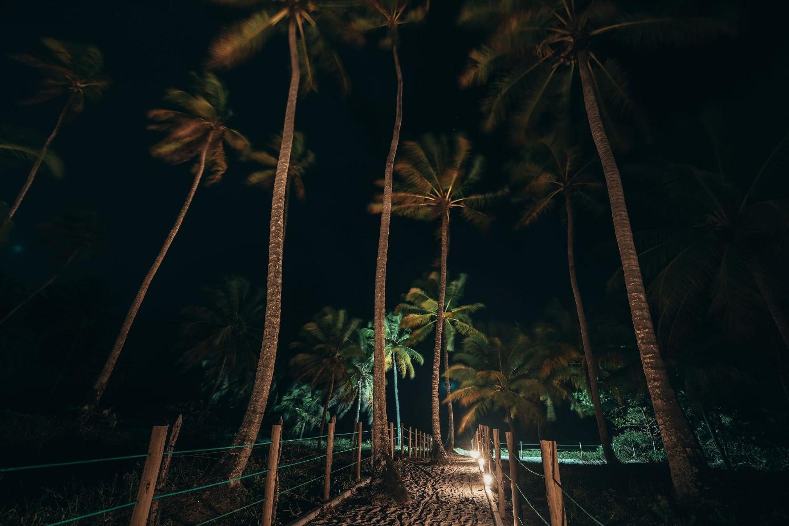 Villa Naluri Frente Mar em Japaratinga por Quarto à Vista